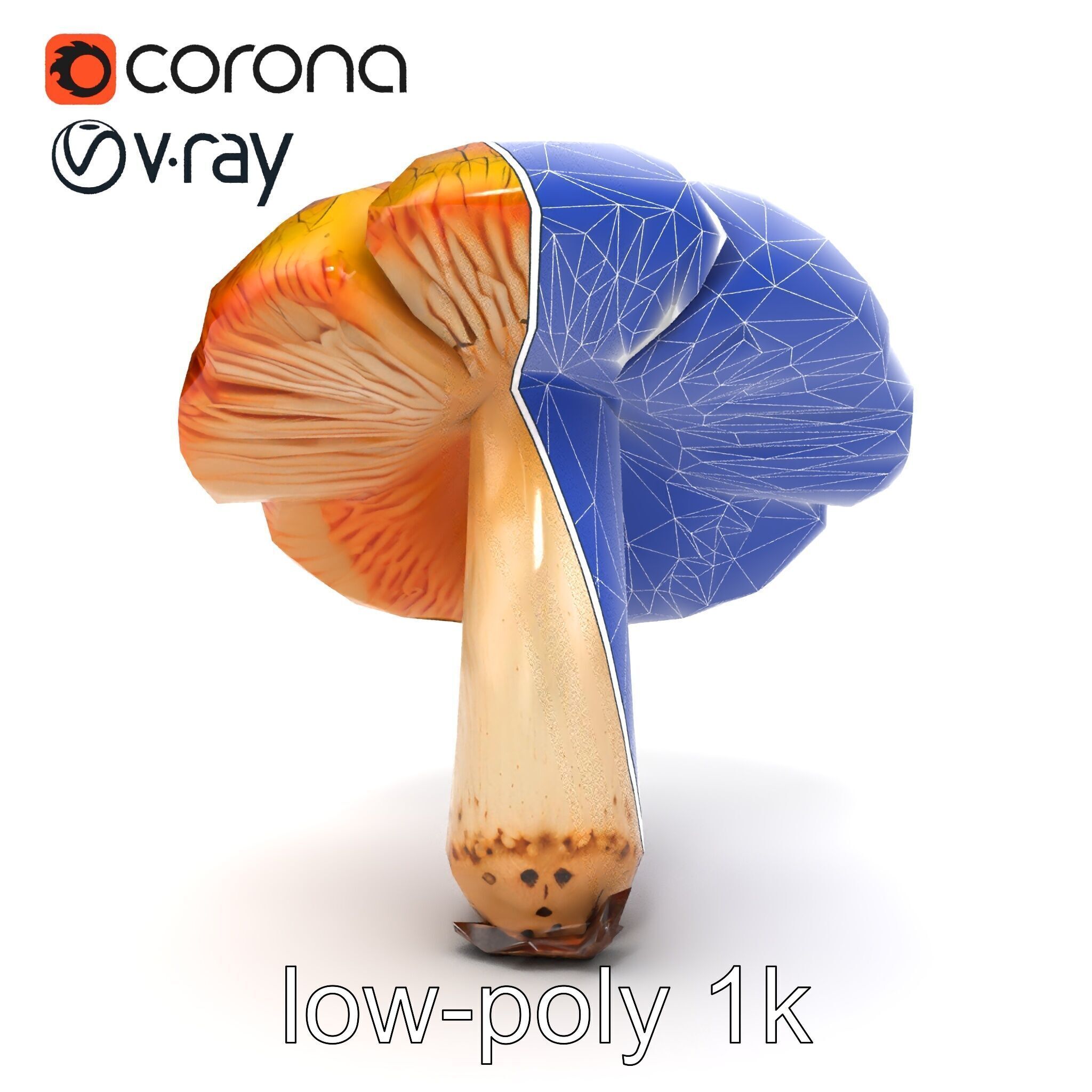 Chanterelle Mushroom Crack Texture Model Pack Low-poly 3D model_30