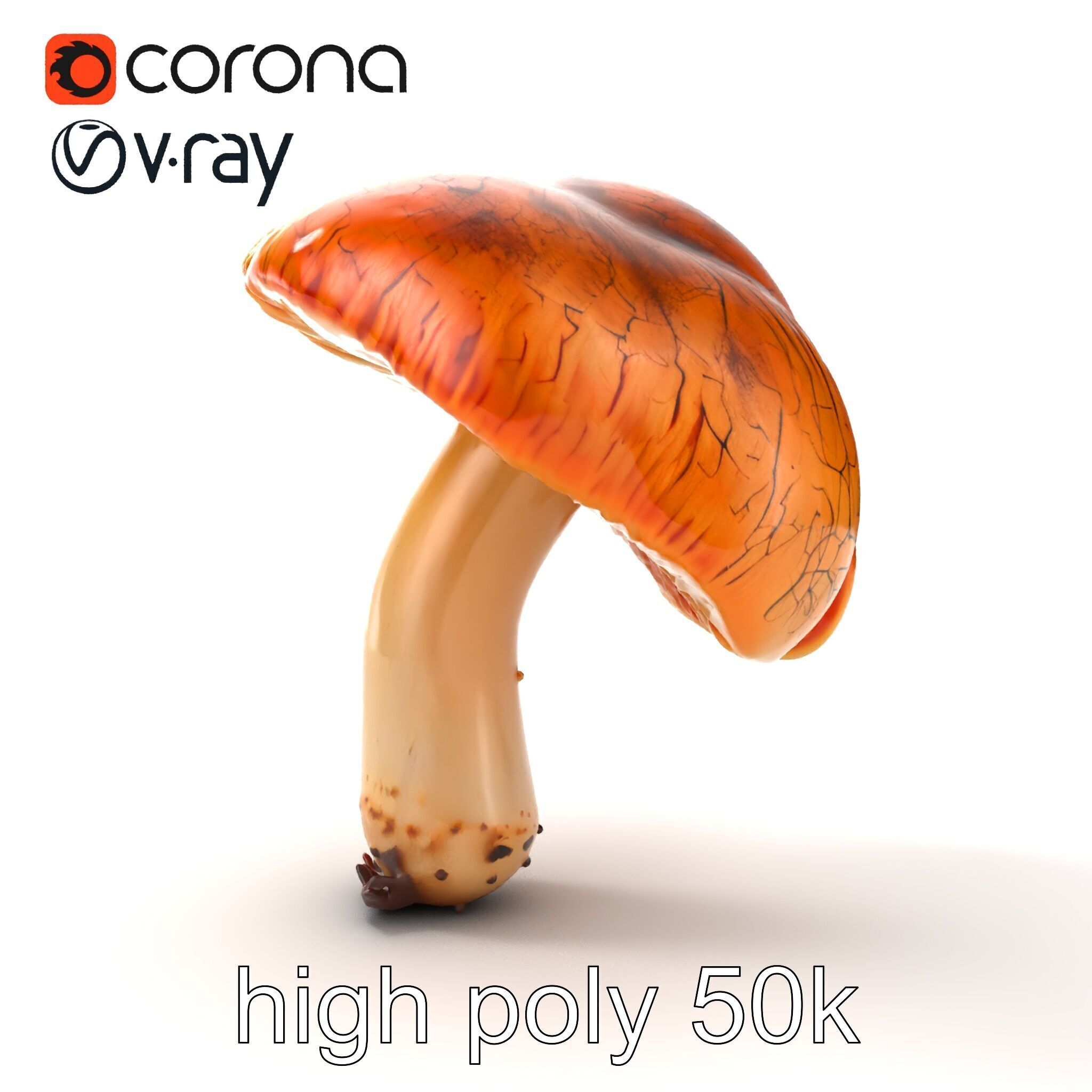 Chanterelle Mushroom Crack Texture Model Pack Low-poly 3D model_24