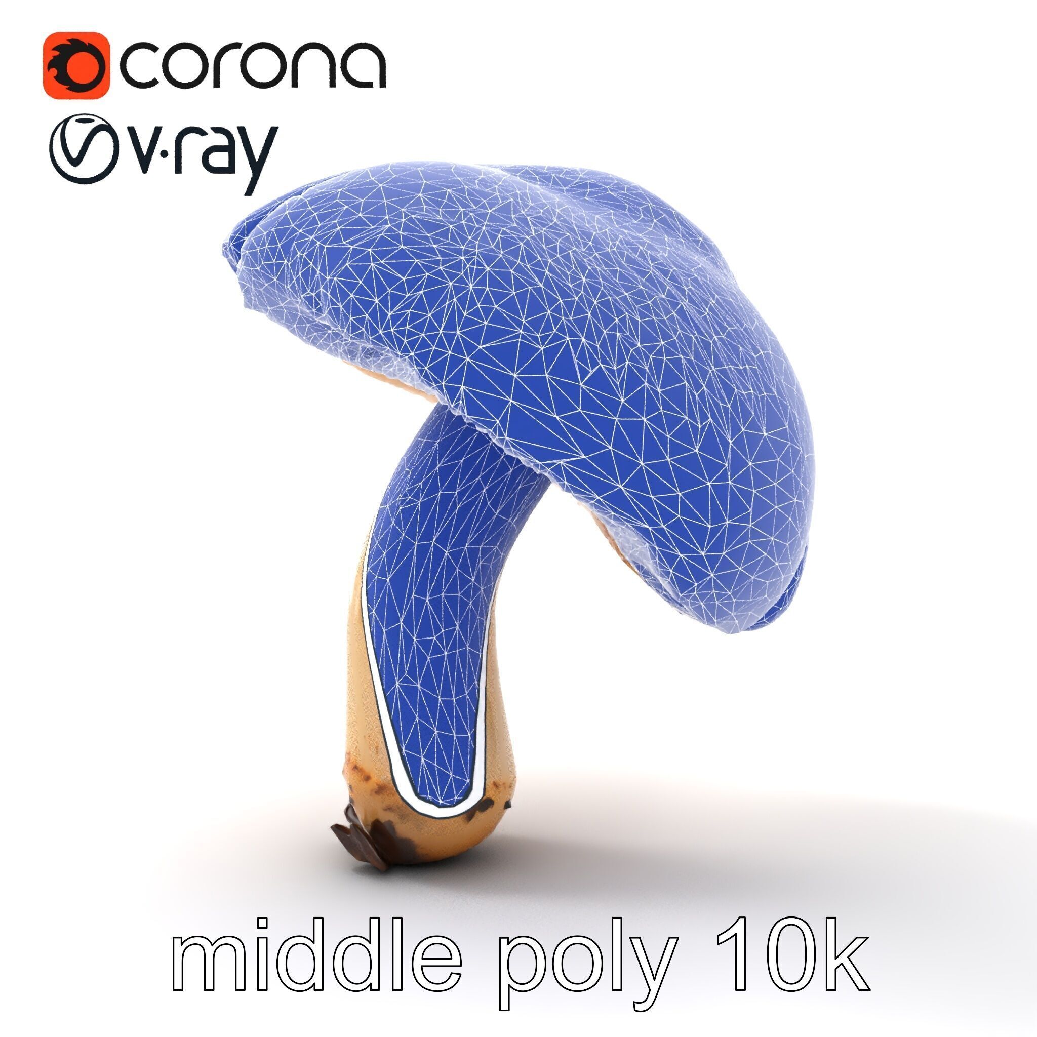 Chanterelle Mushroom Crack Texture Model Pack Low-poly 3D model_31