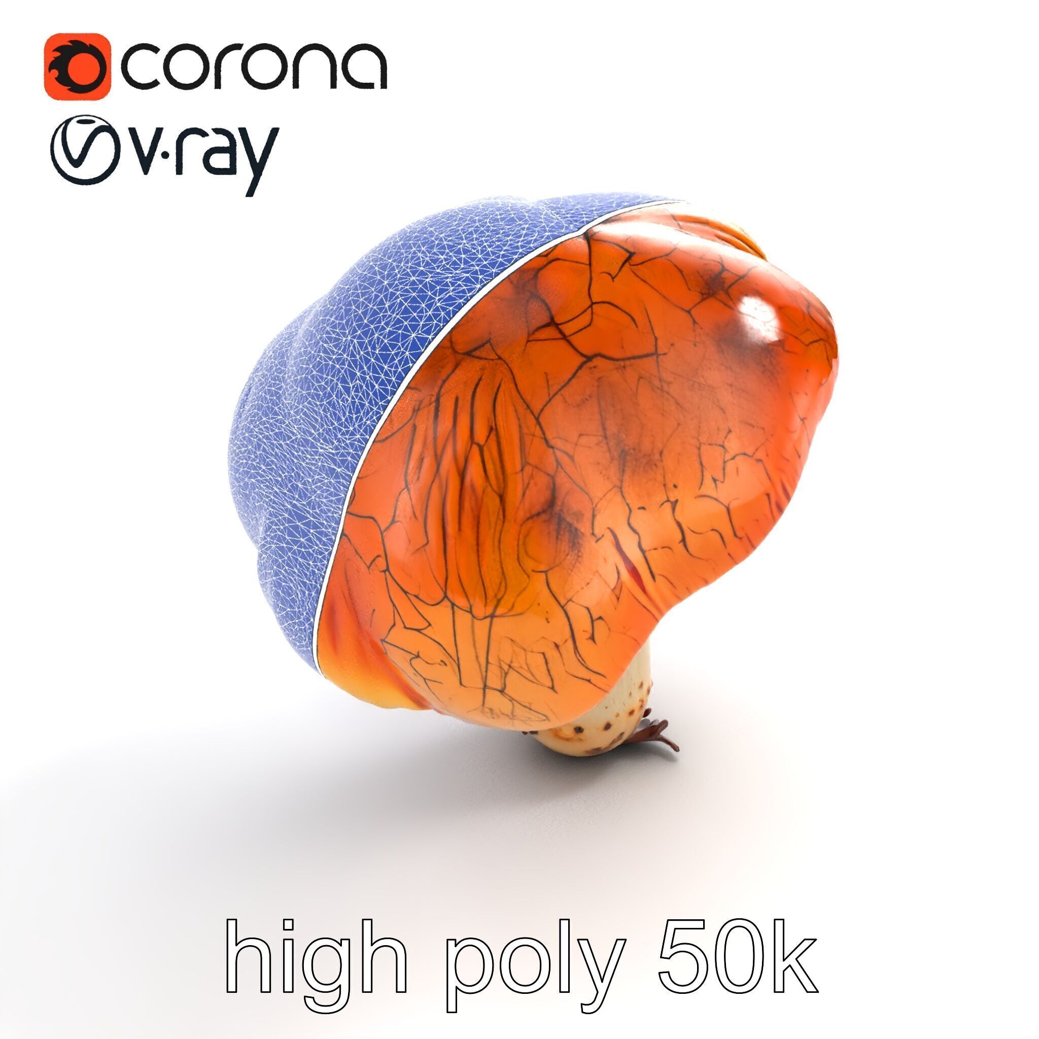 Chanterelle Mushroom Crack Texture Model Pack Low-poly 3D model_28