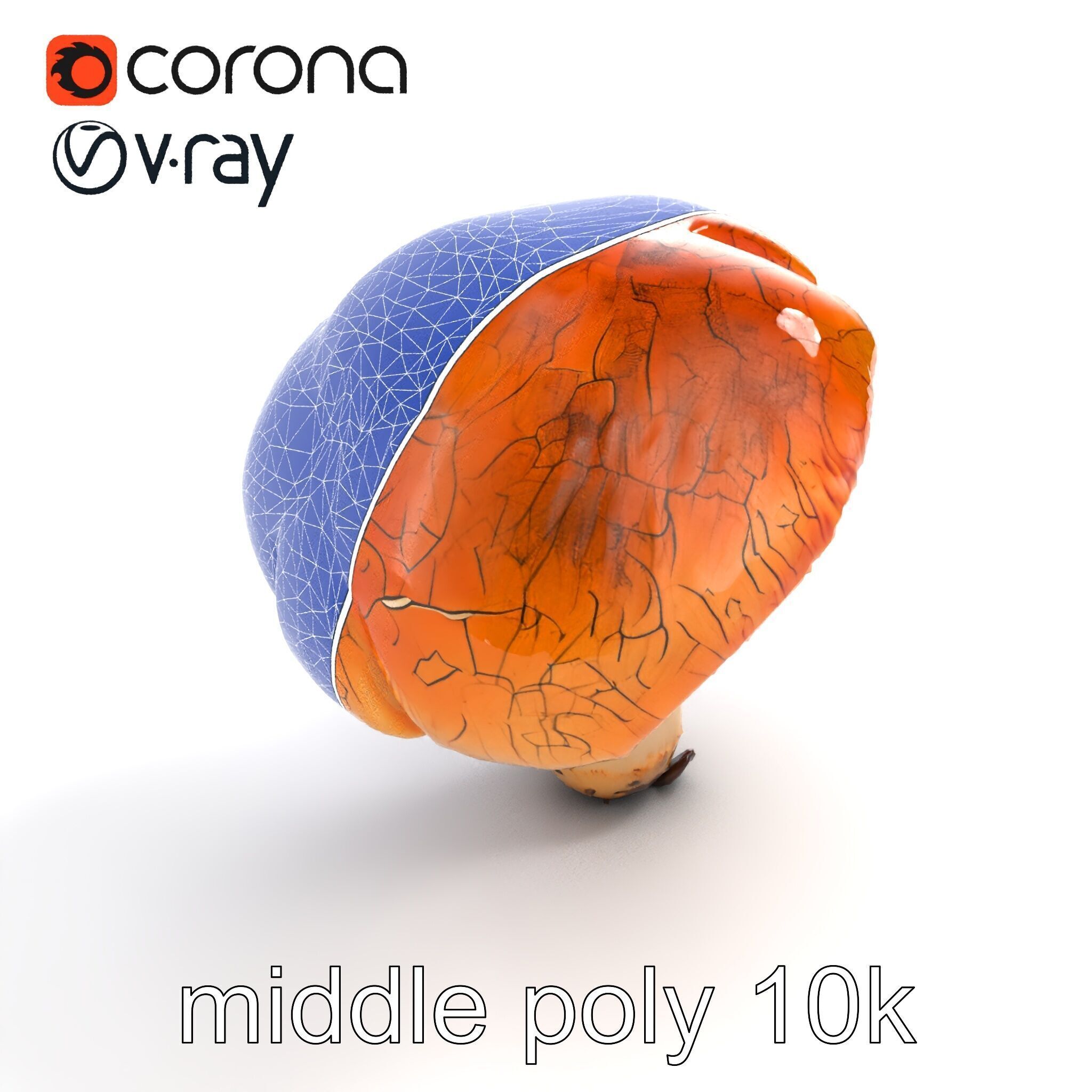 Chanterelle Mushroom Crack Texture Model Pack Low-poly 3D model_13