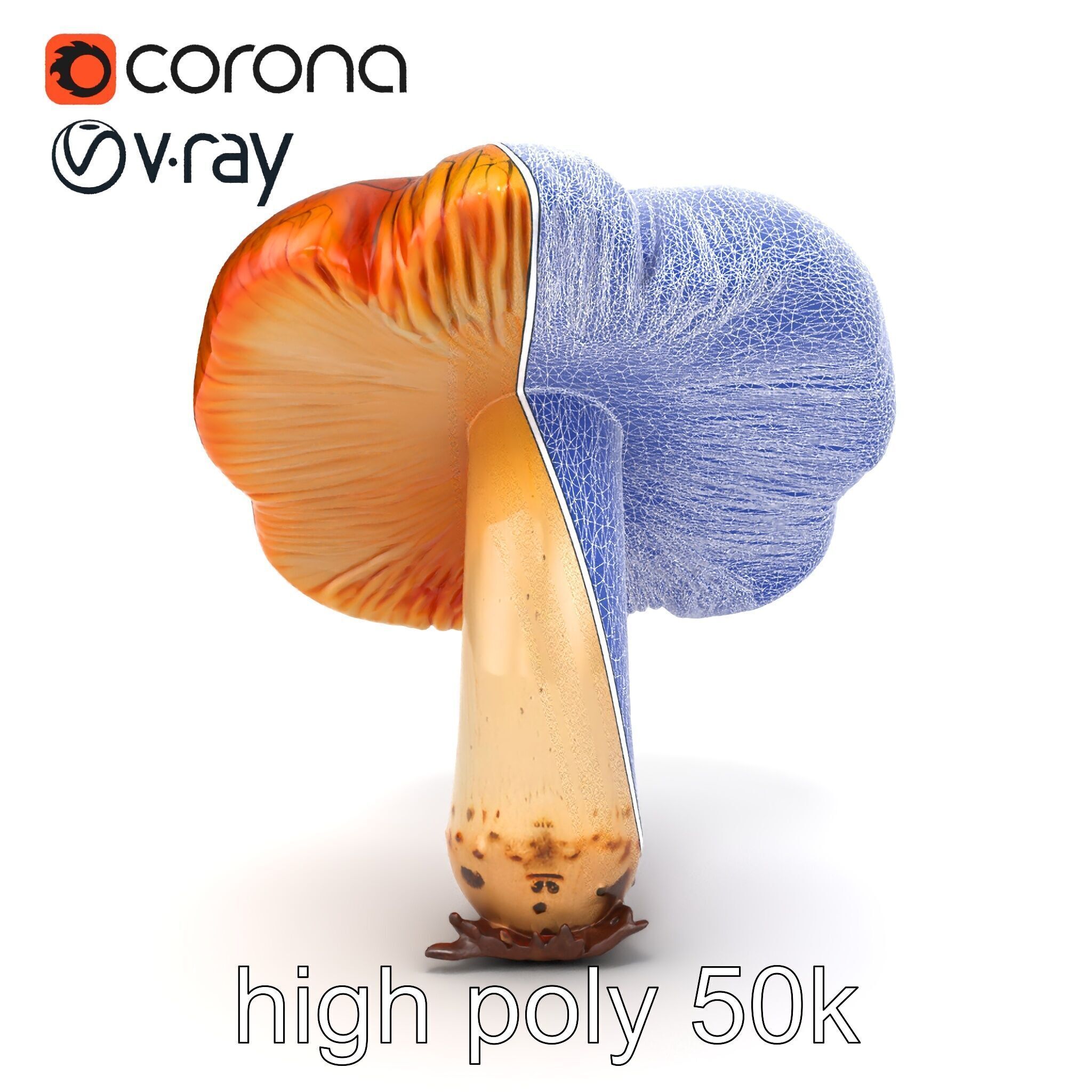 Chanterelle Mushroom Crack Texture Model Pack Low-poly 3D model_32