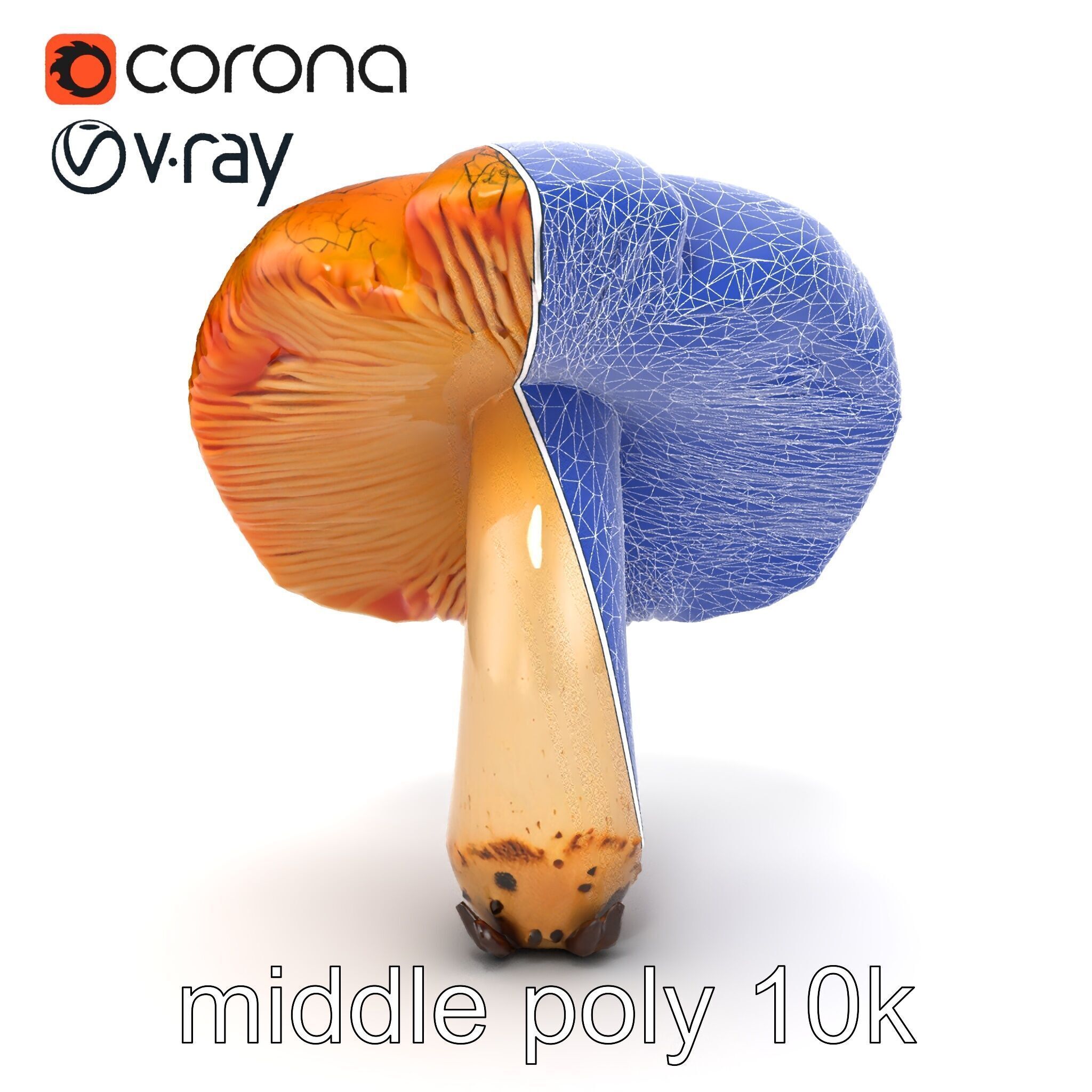 Chanterelle Mushroom Crack Texture Model Pack Low-poly 3D model_29