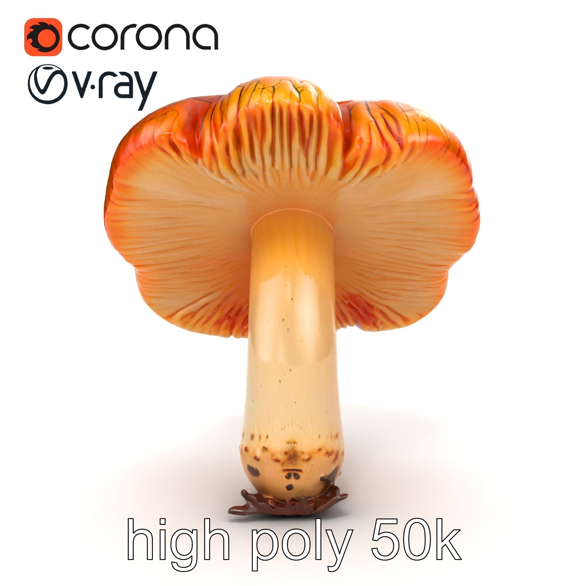 Chanterelle Mushroom Crack Texture Model Pack Low-poly 3D model_19