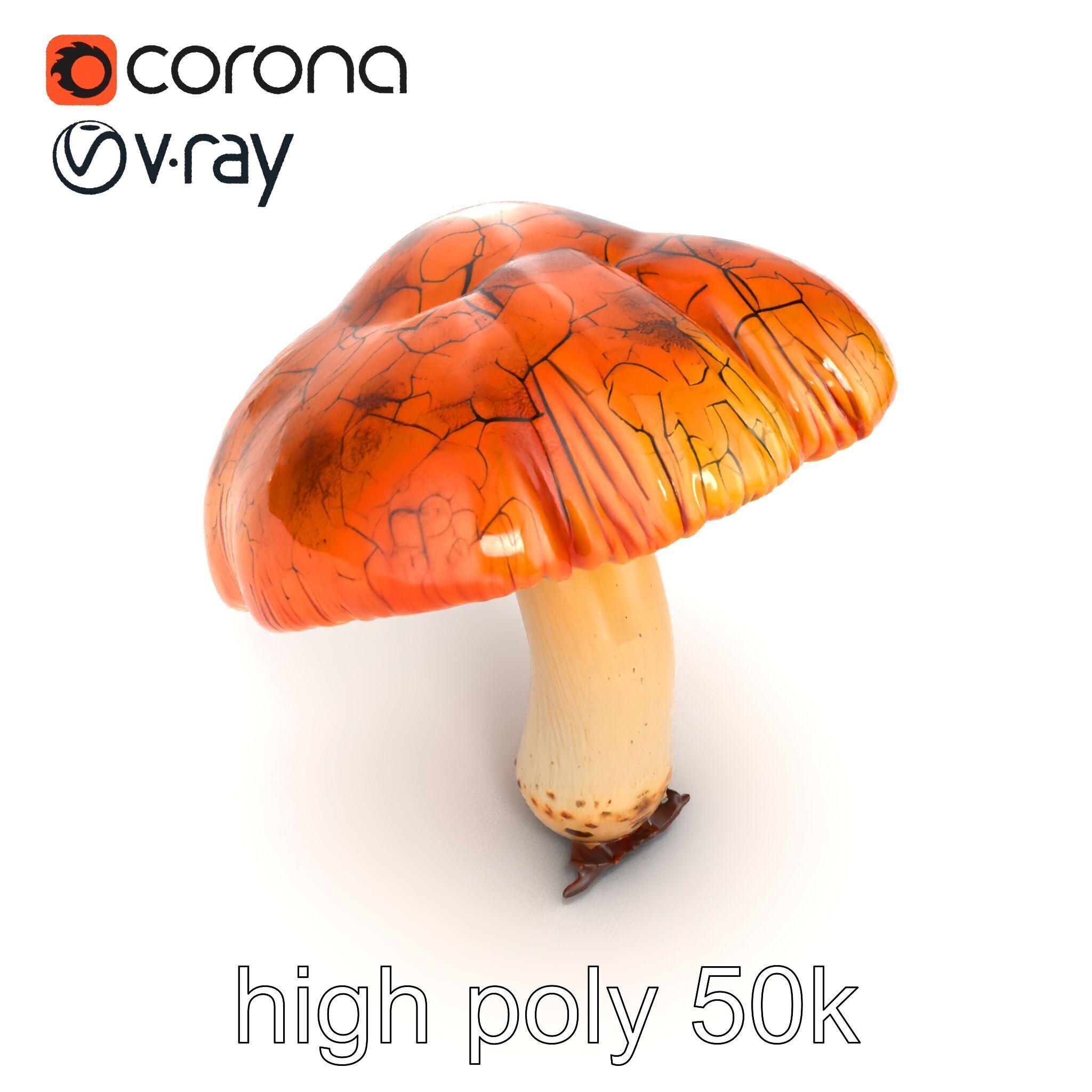 Chanterelle Mushroom Crack Texture Model Pack Low-poly 3D model_20
