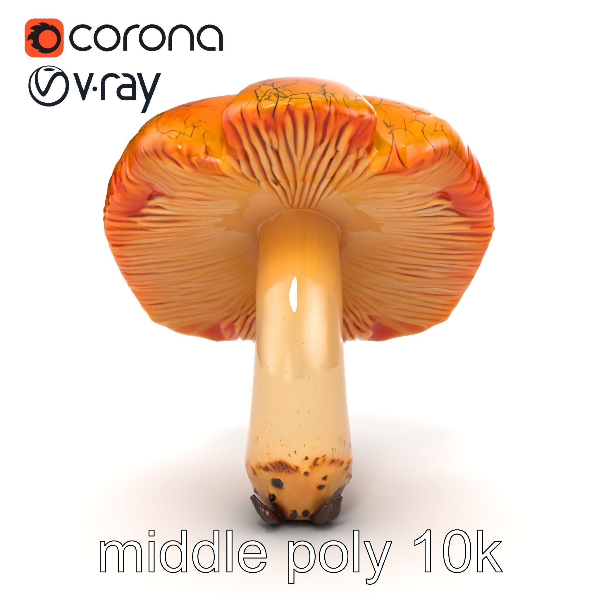 Chanterelle Mushroom Crack Texture Model Pack Low-poly 3D model_23