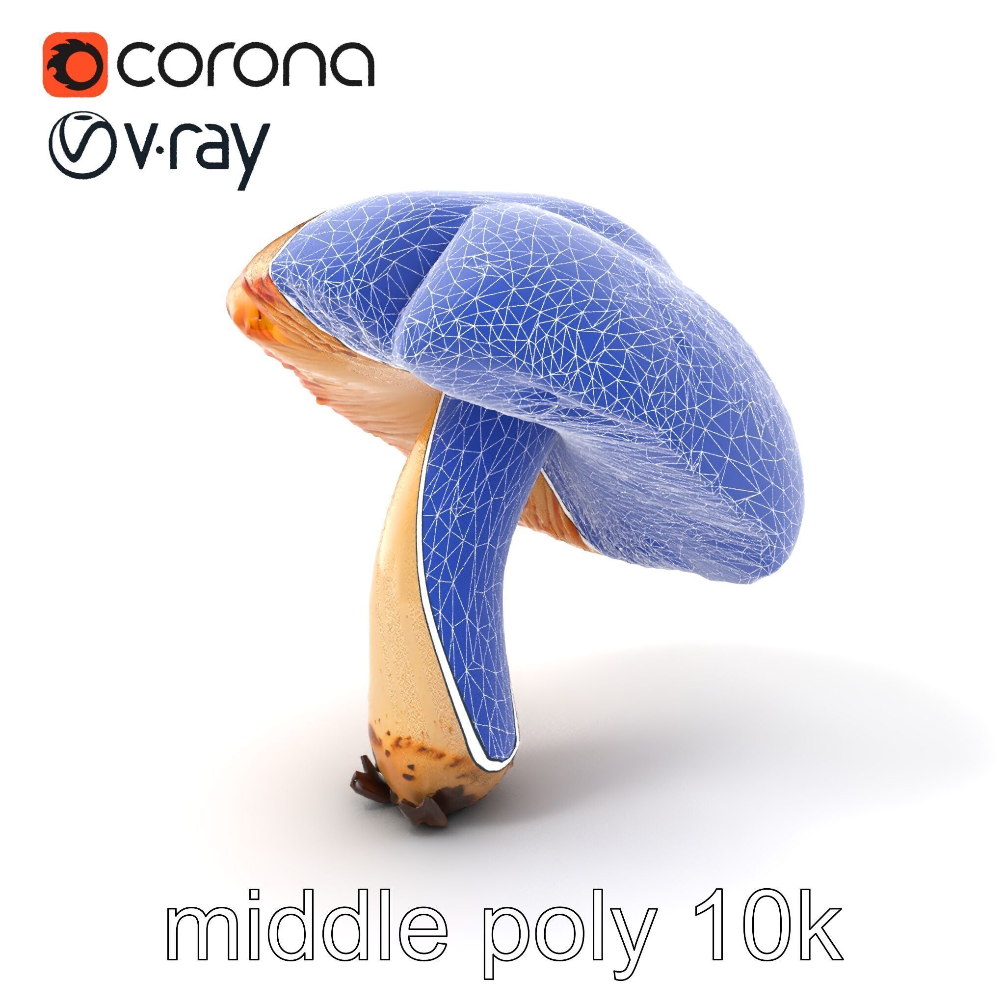 Chanterelle Mushroom Crack Texture Model Pack Low-poly 3D model_6