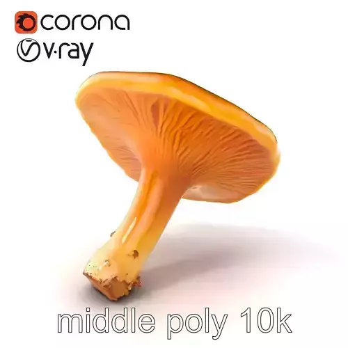 Pine Chanterelle Mushroom 3D Model Pack Low-poly 3D model