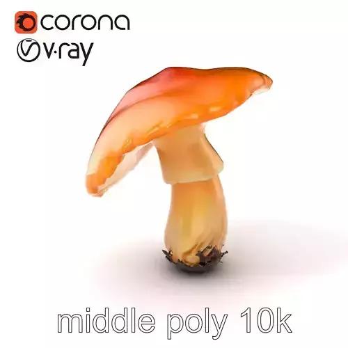 Mature Chanterelle Mushroom Model Pack Low-poly 3D model