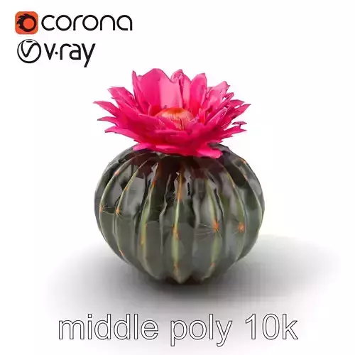 Echinopsis Spherical Cactus Pink Flower model pack