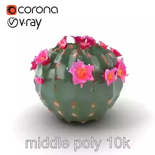 Compact Mammillaria Cactus with Pink Flowers model pack Low-poly 3D model