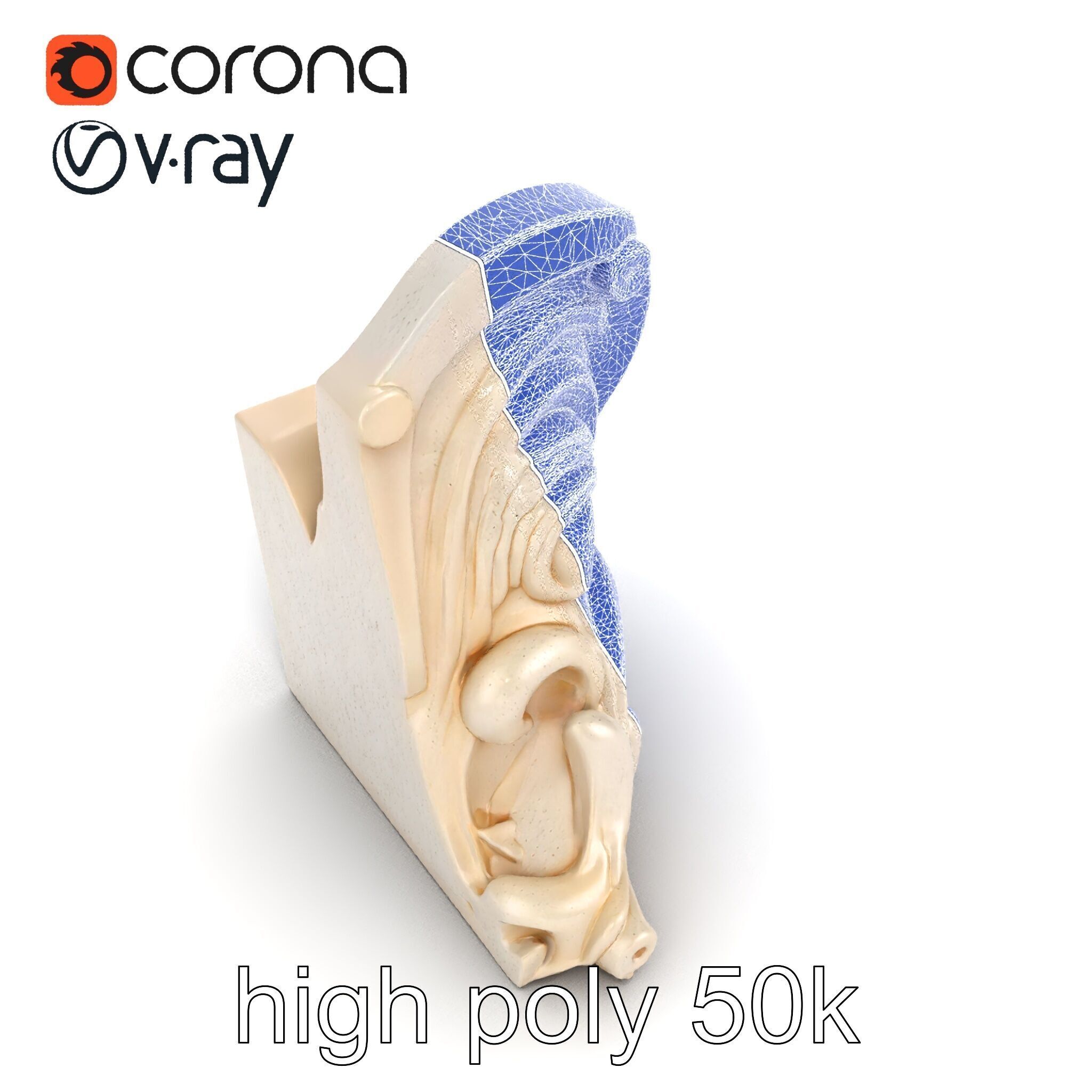 Art Nouveau Decorative Moldings model pack Low-poly 3D model_15