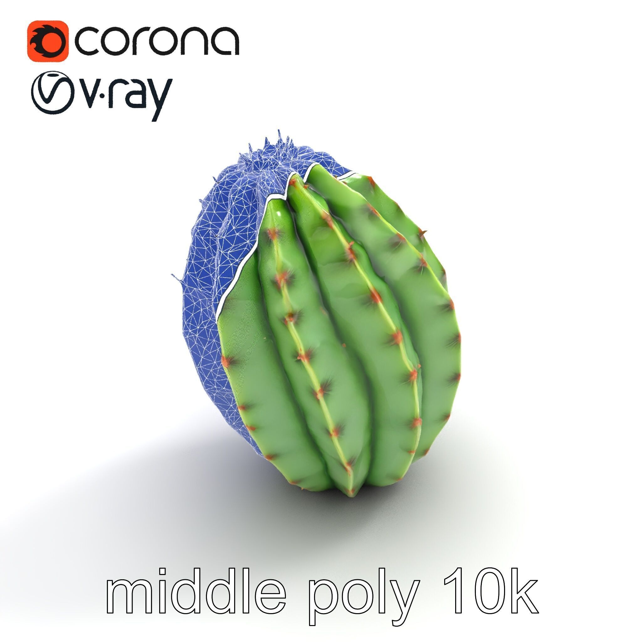 Wavy Cactus with Thorny Protrusions model pack Low-poly 3D model_32