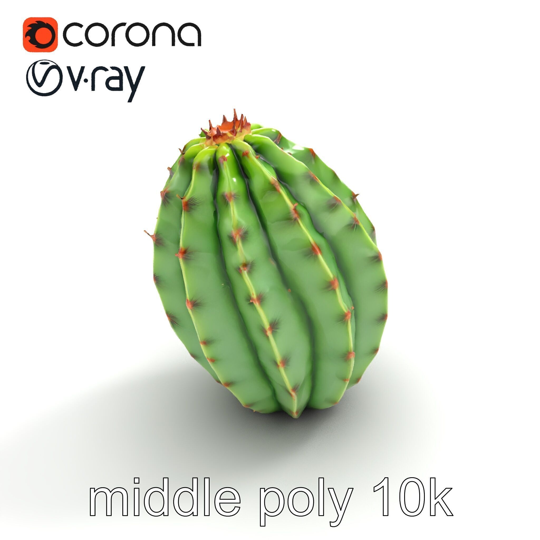 Wavy Cactus with Thorny Protrusions model pack Low-poly 3D model_8