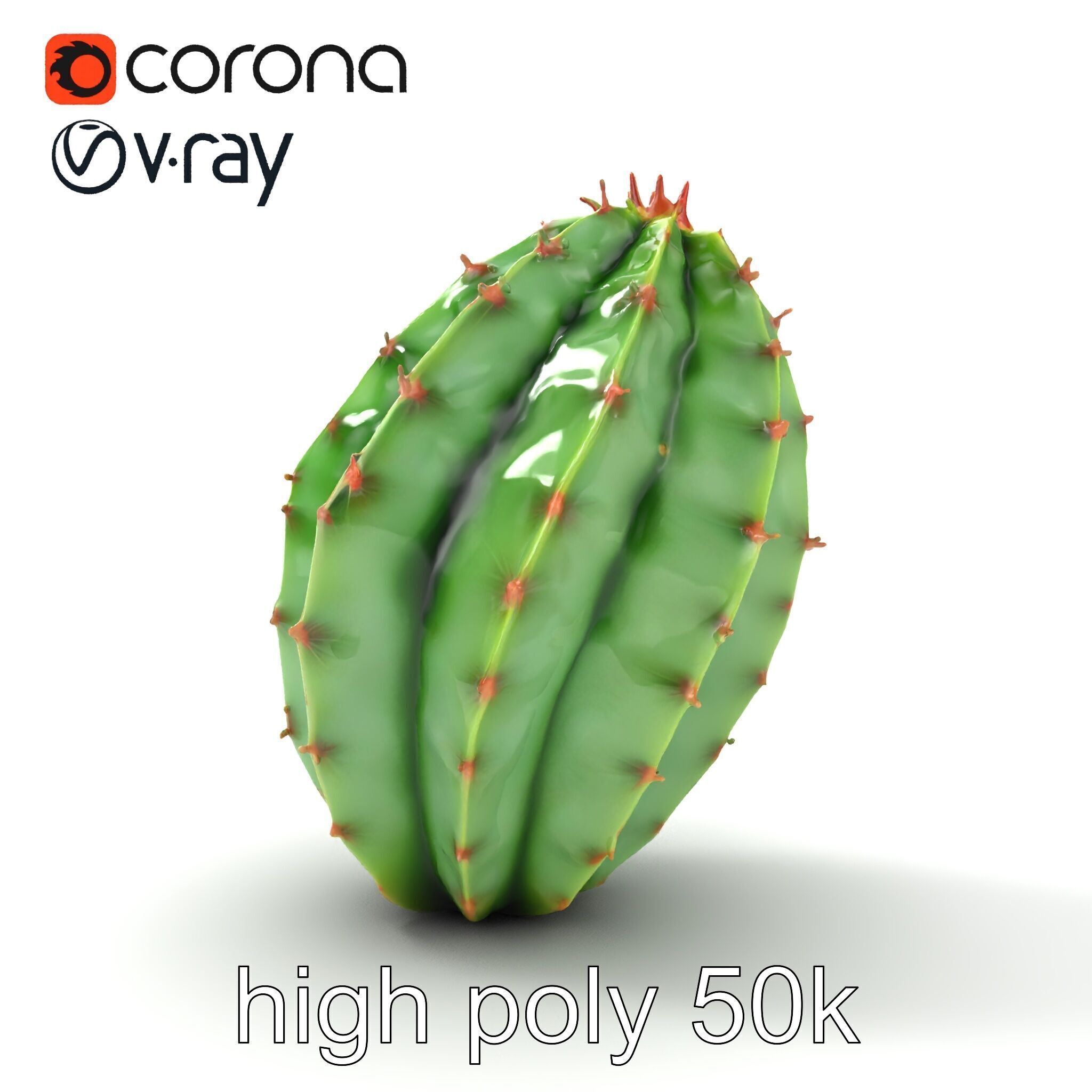Wavy Cactus with Thorny Protrusions model pack Low-poly 3D model_22