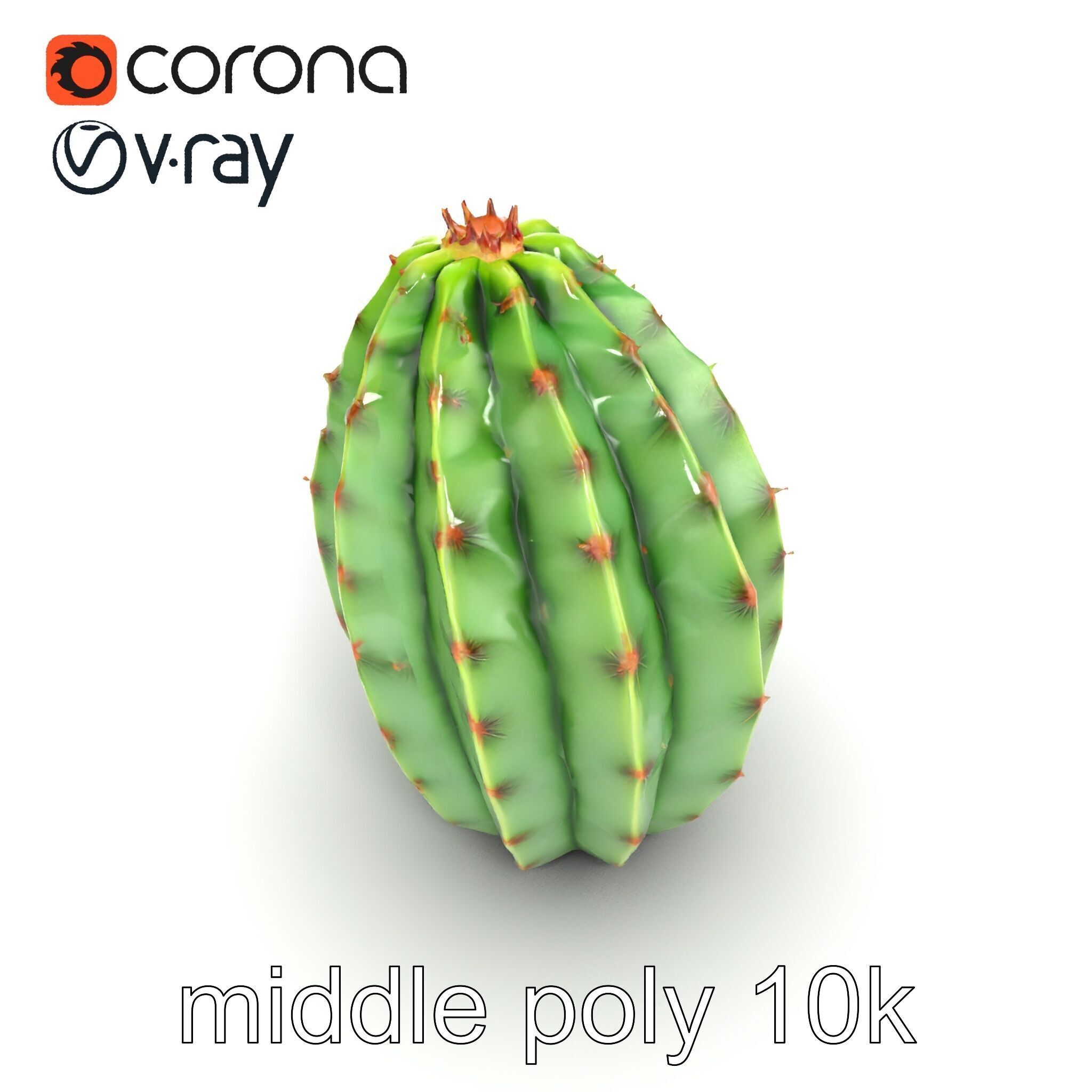 Wavy Cactus with Thorny Protrusions model pack Low-poly 3D model_13