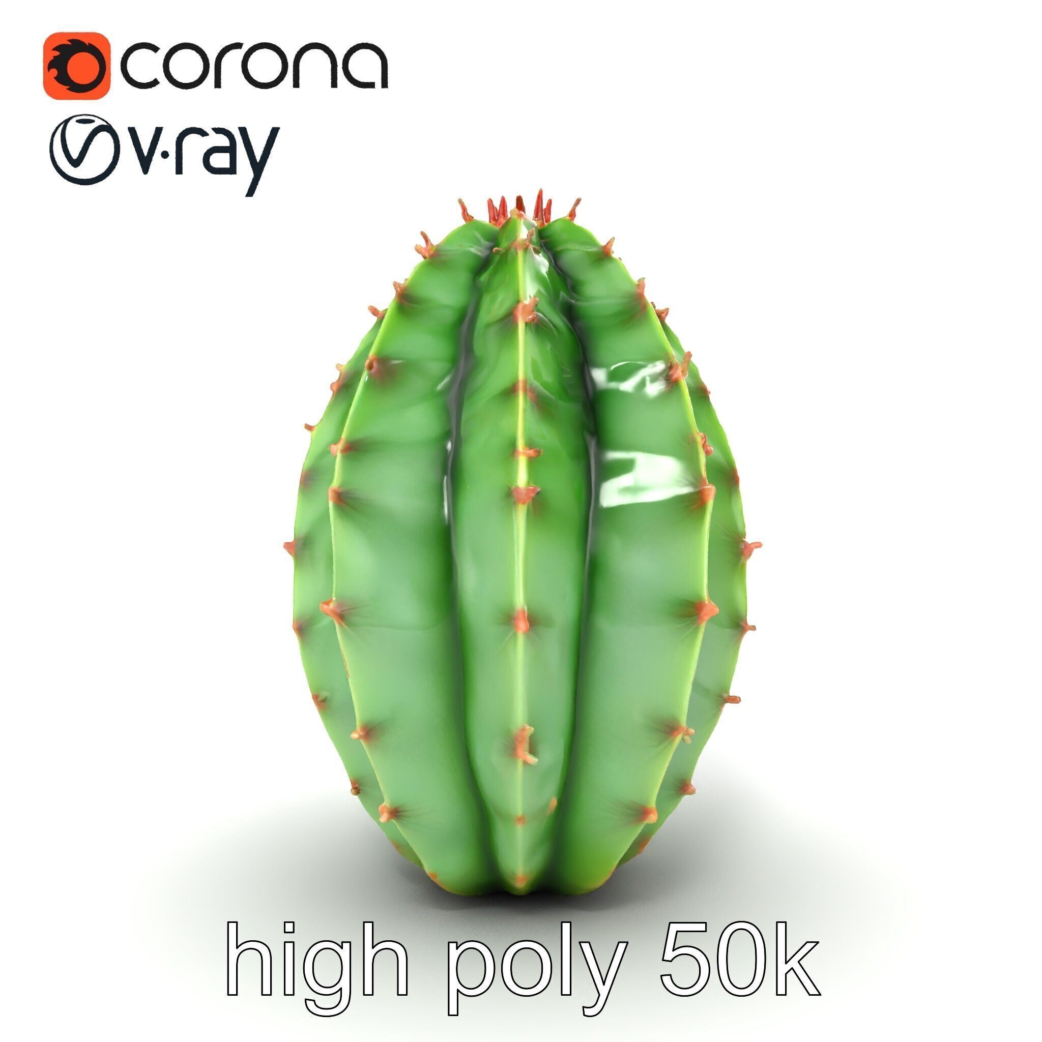 Wavy Cactus with Thorny Protrusions model pack Low-poly 3D model_27