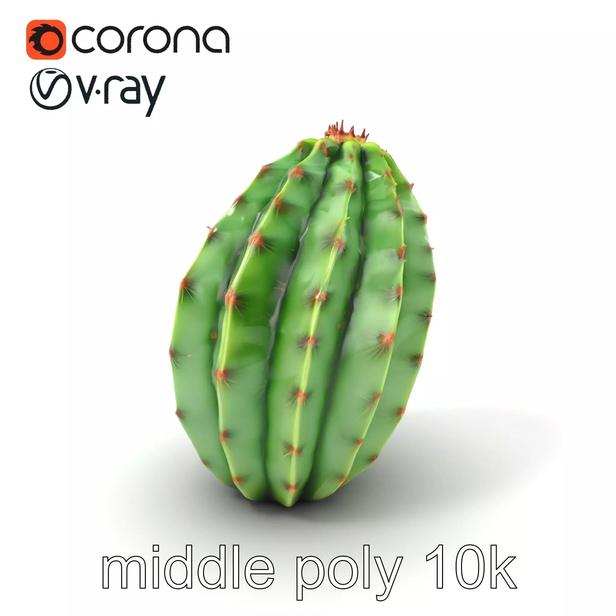 Wavy Cactus with Thorny Protrusions model pack Low-poly 3D model_0