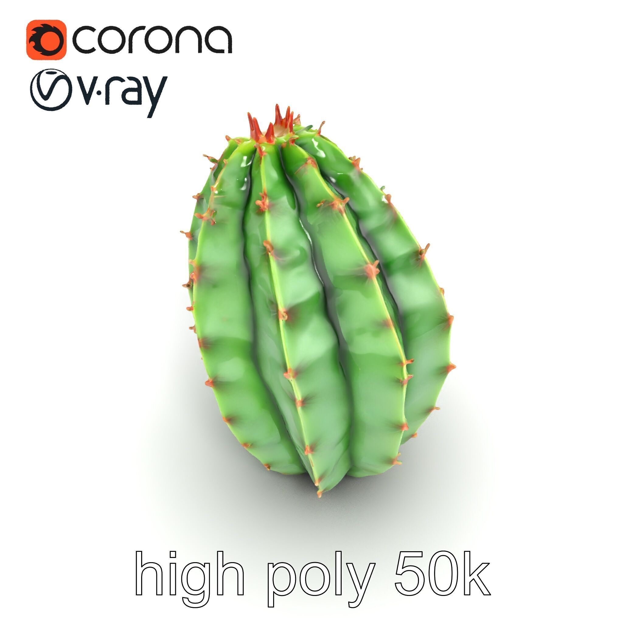 Wavy Cactus with Thorny Protrusions model pack Low-poly 3D model_14