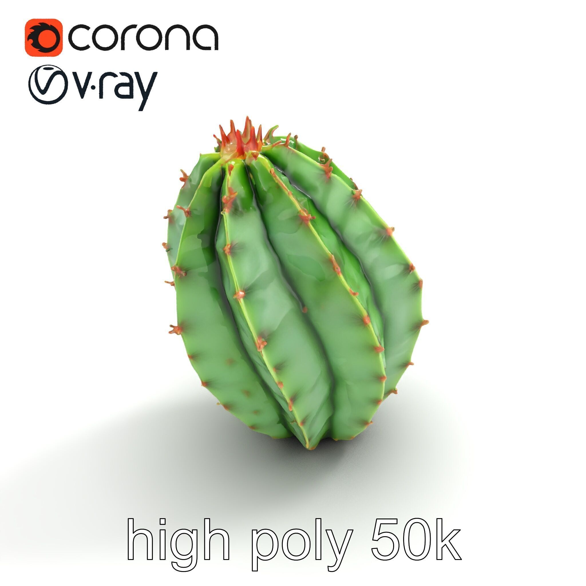 Wavy Cactus with Thorny Protrusions model pack Low-poly 3D model_12