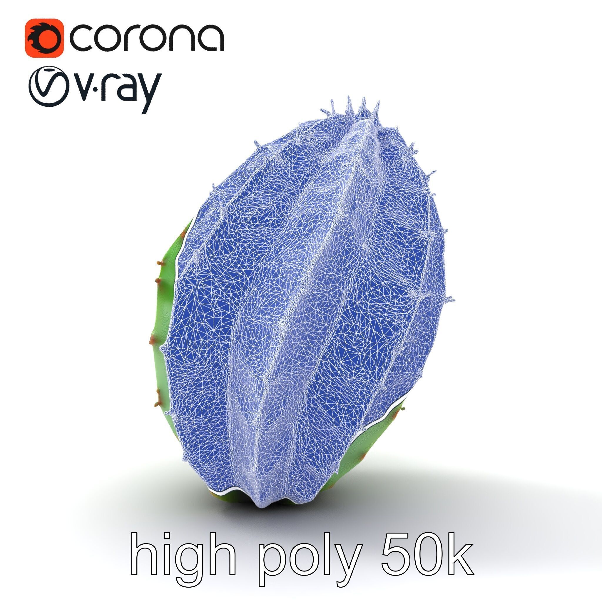 Wavy Cactus with Thorny Protrusions model pack Low-poly 3D model_31