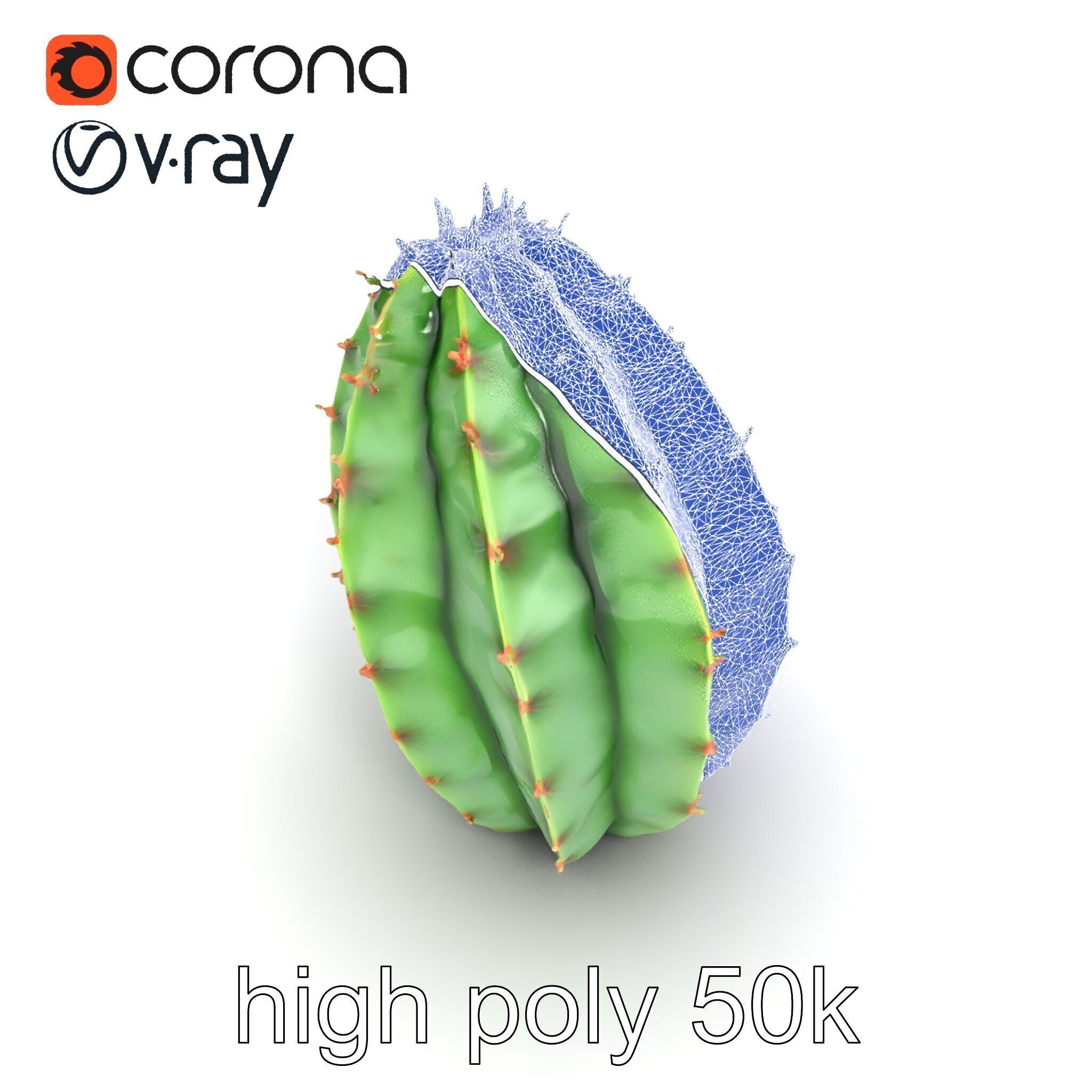 Wavy Cactus with Thorny Protrusions model pack Low-poly 3D model_19