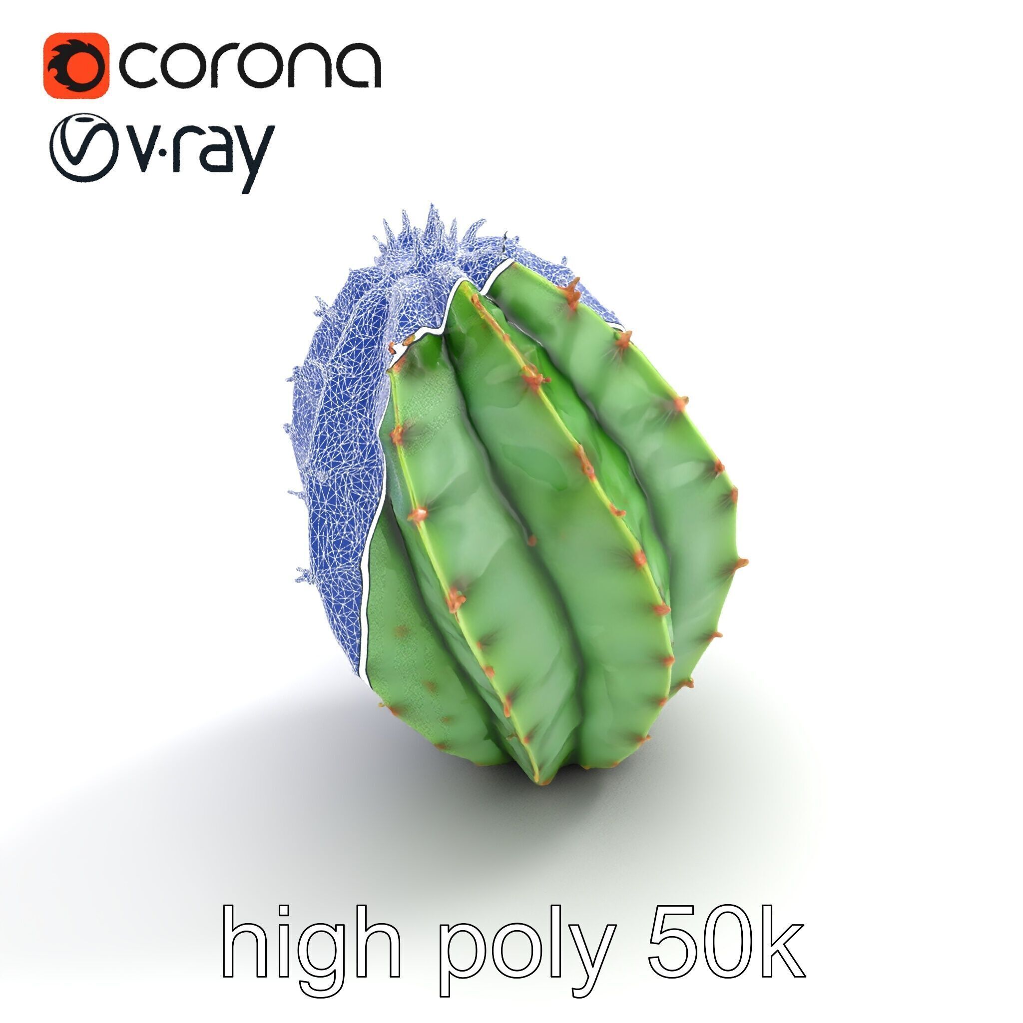 Wavy Cactus with Thorny Protrusions model pack Low-poly 3D model_23