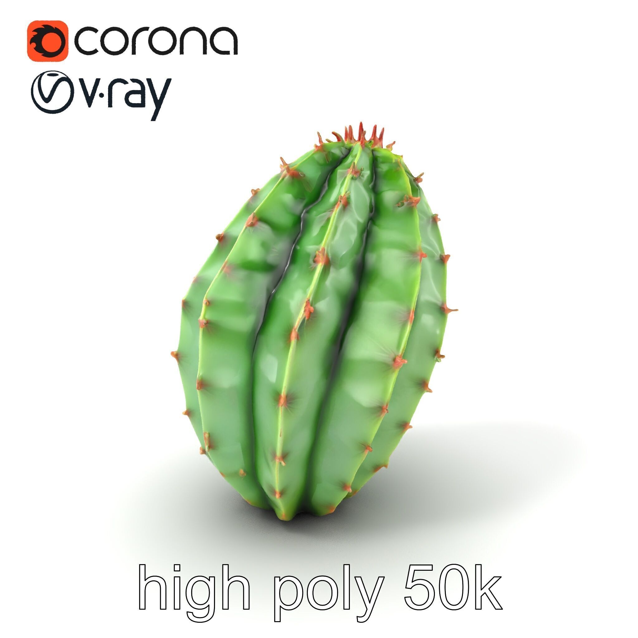 Wavy Cactus with Thorny Protrusions model pack Low-poly 3D model_2