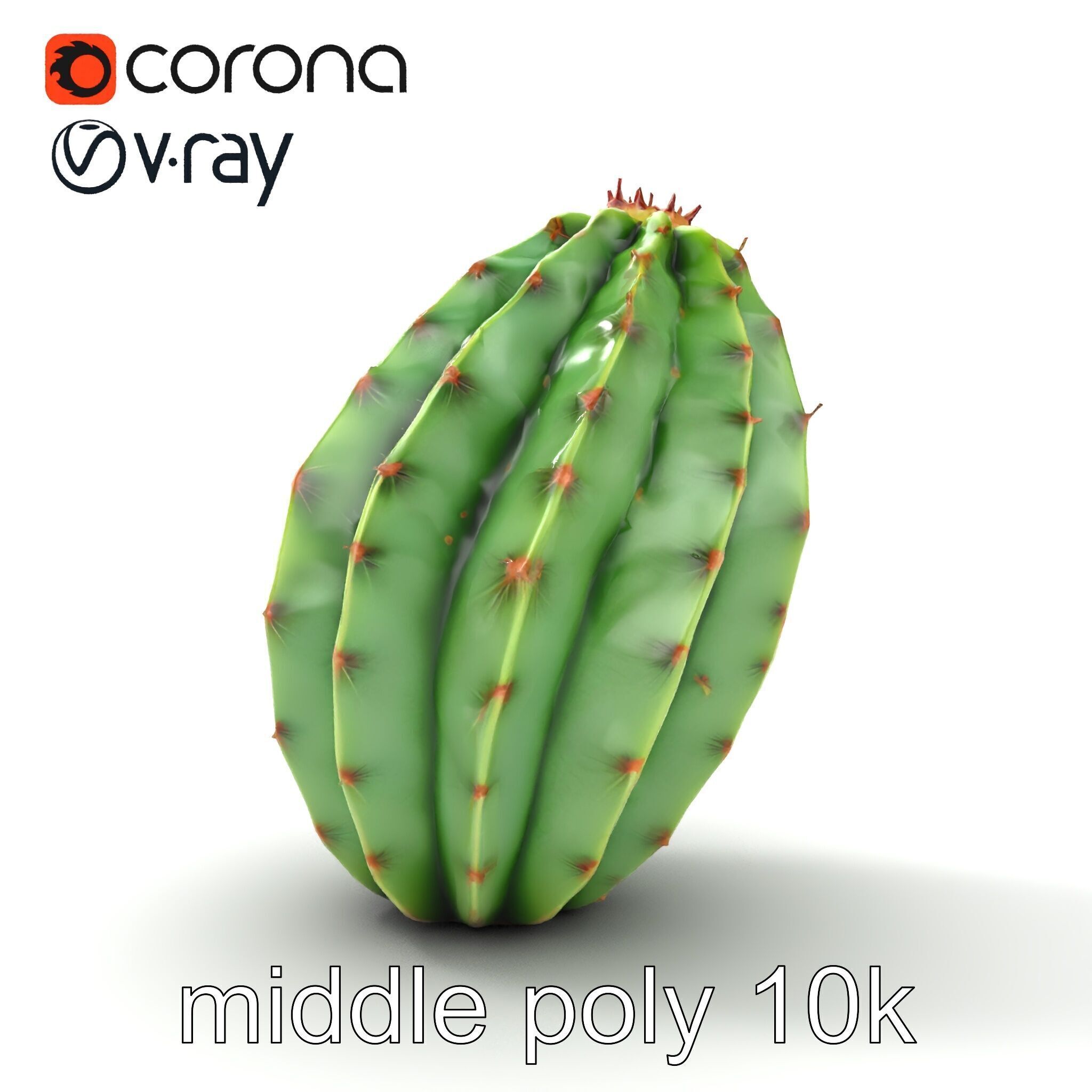 Wavy Cactus with Thorny Protrusions model pack Low-poly 3D model_26