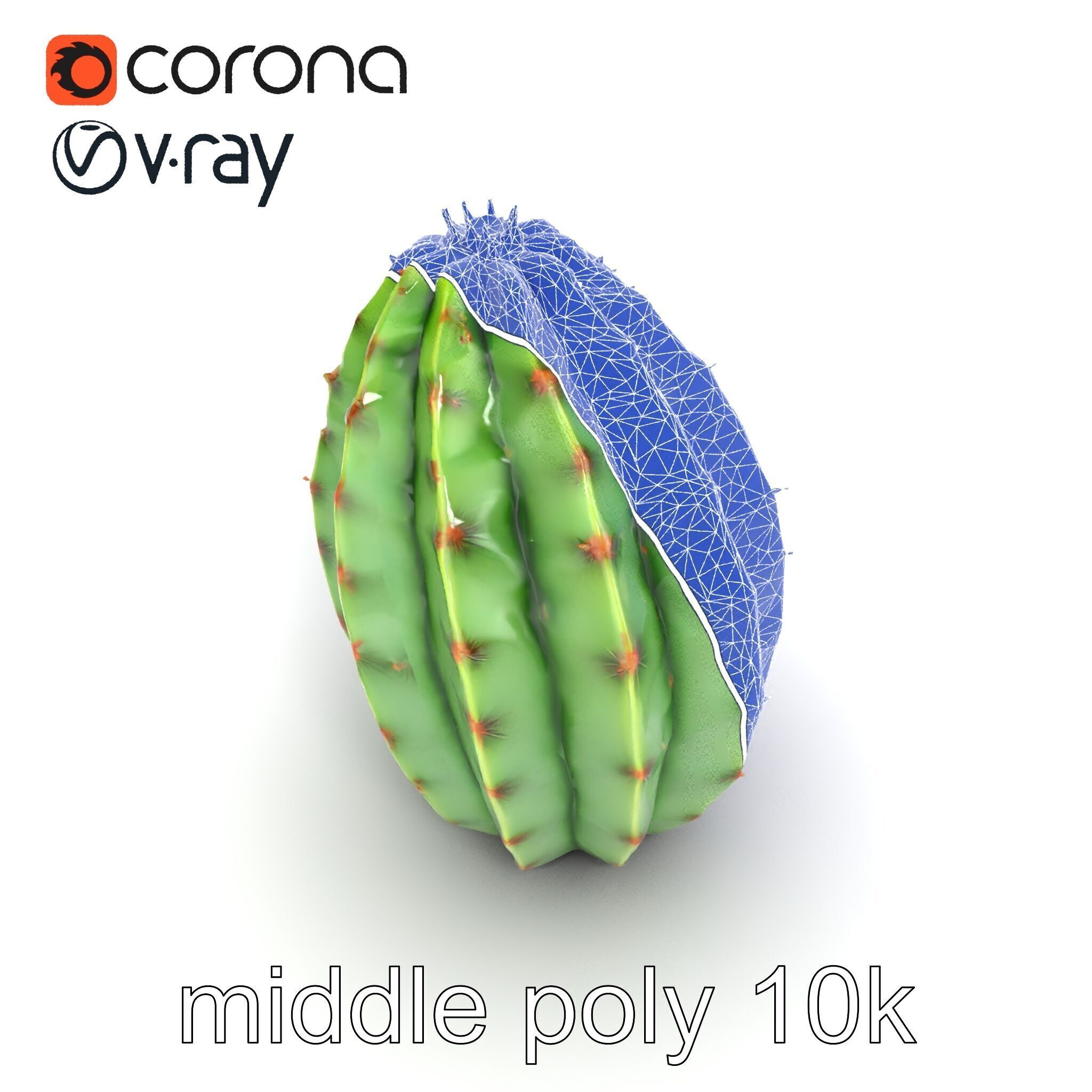 Wavy Cactus with Thorny Protrusions model pack Low-poly 3D model_21