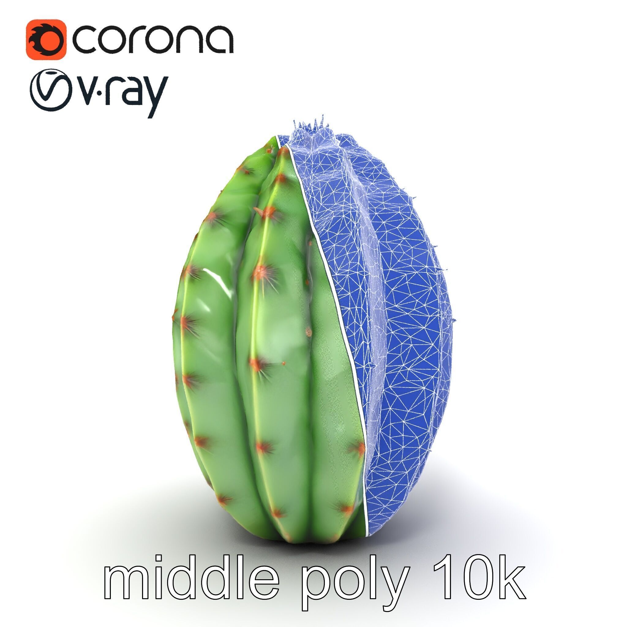 Wavy Cactus with Thorny Protrusions model pack Low-poly 3D model_30