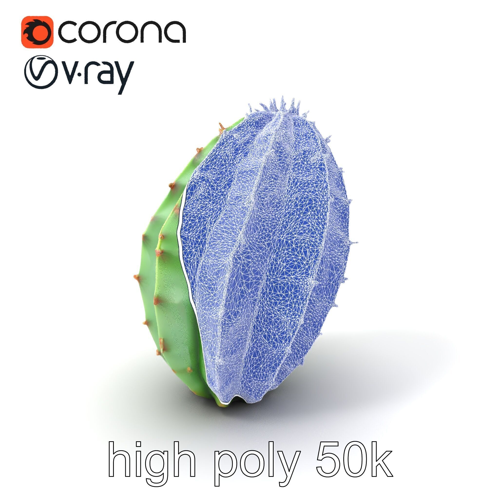 Wavy Cactus with Thorny Protrusions model pack Low-poly 3D model_10