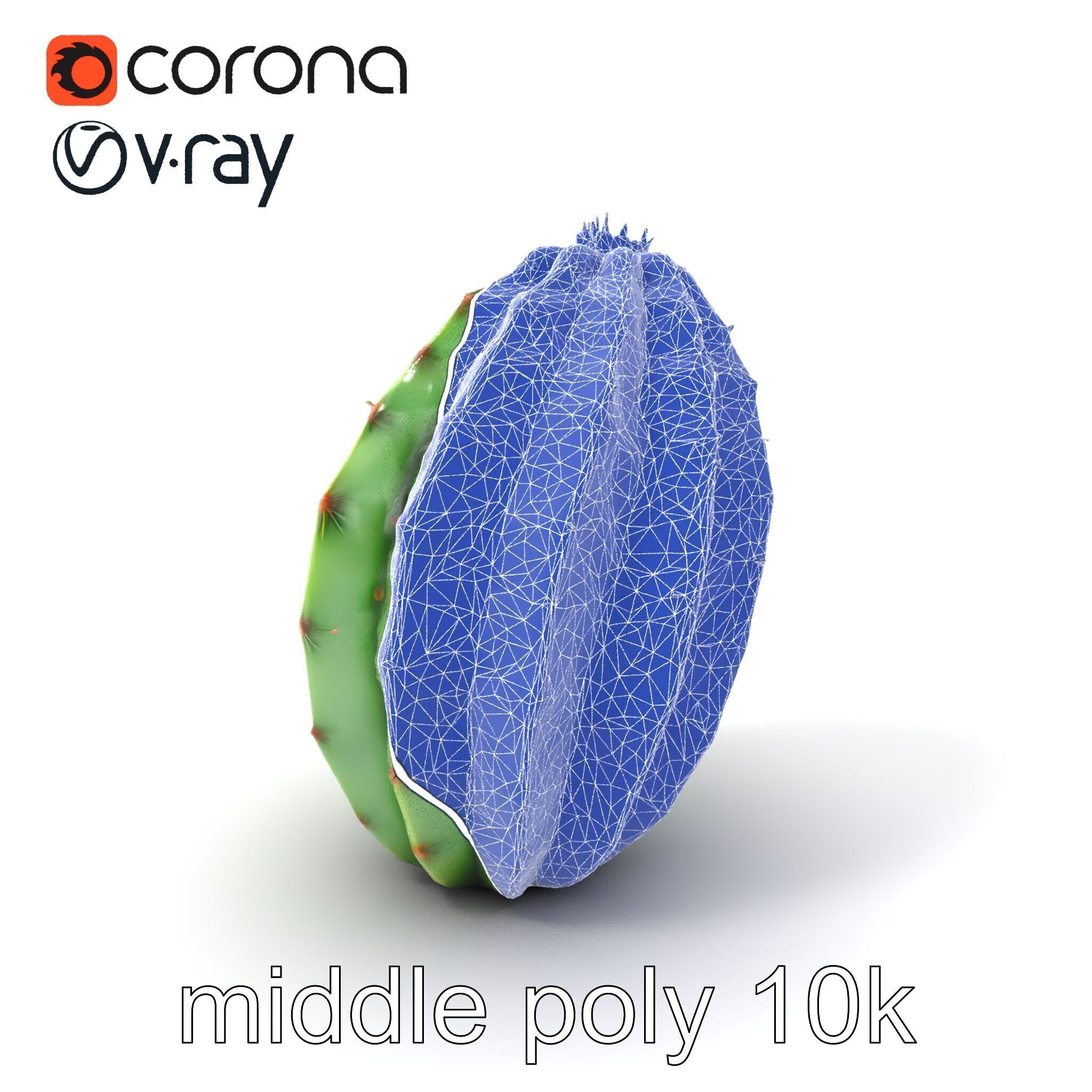 Wavy Cactus with Thorny Protrusions model pack Low-poly 3D model_6