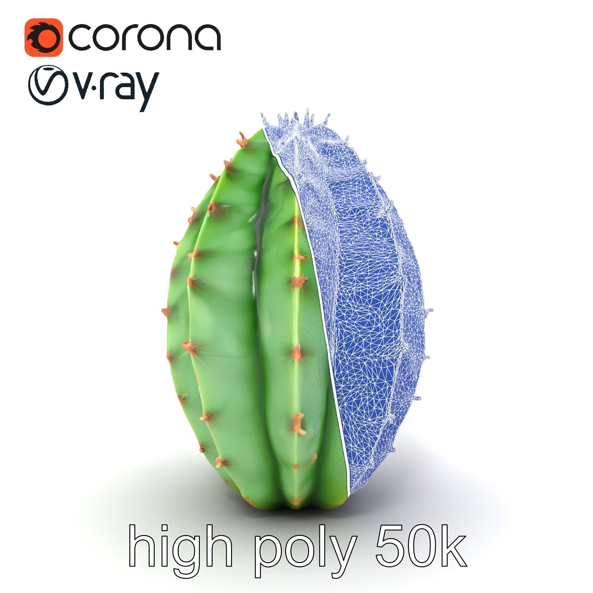 Wavy Cactus with Thorny Protrusions model pack Low-poly 3D model_17