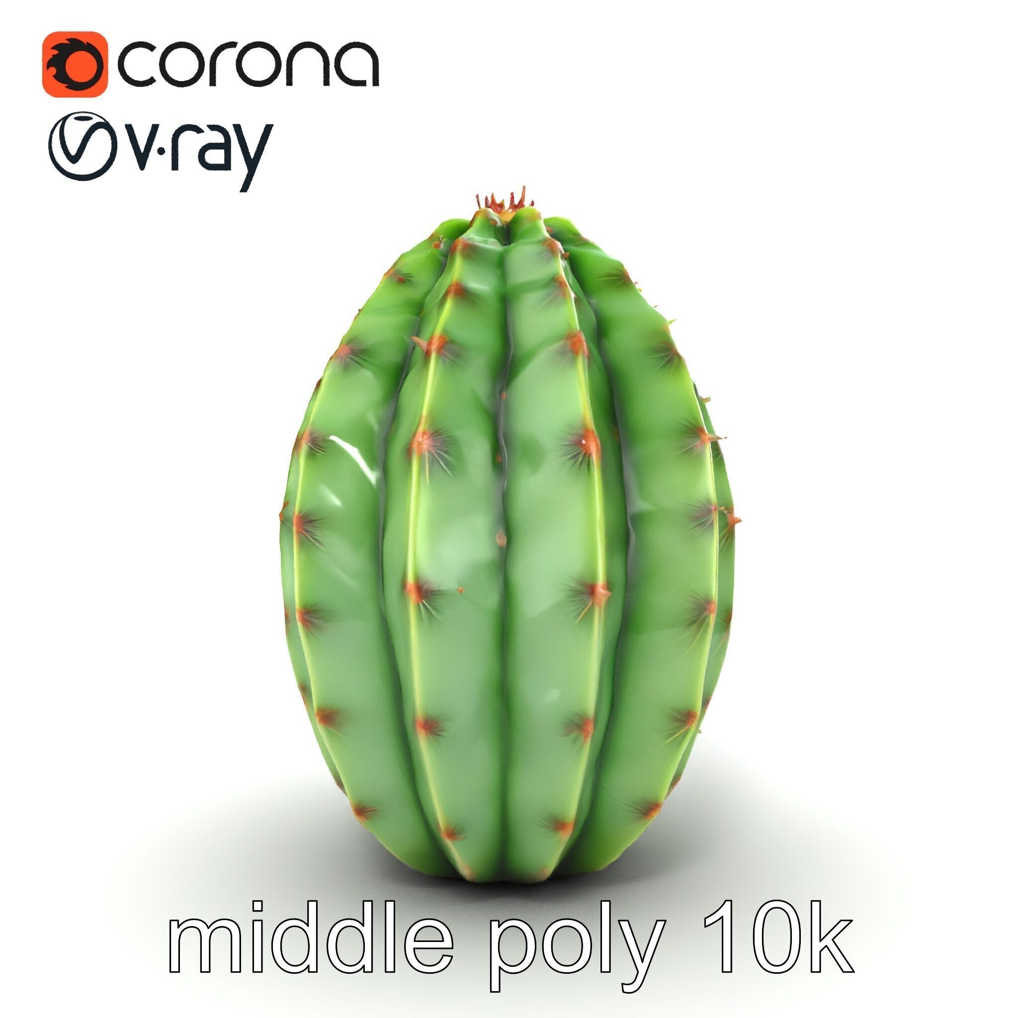 Wavy Cactus with Thorny Protrusions model pack Low-poly 3D model_24