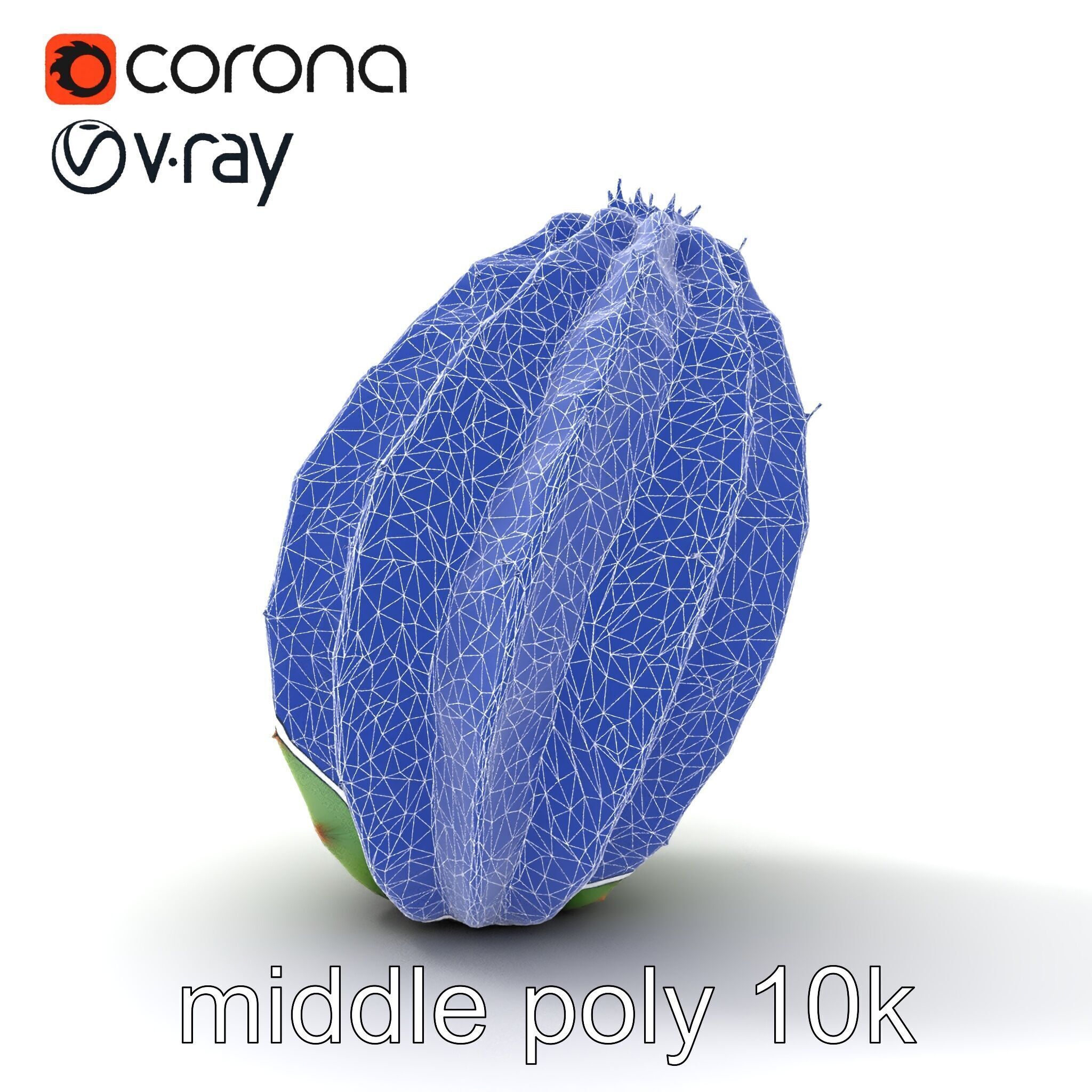 Wavy Cactus with Thorny Protrusions model pack Low-poly 3D model_25