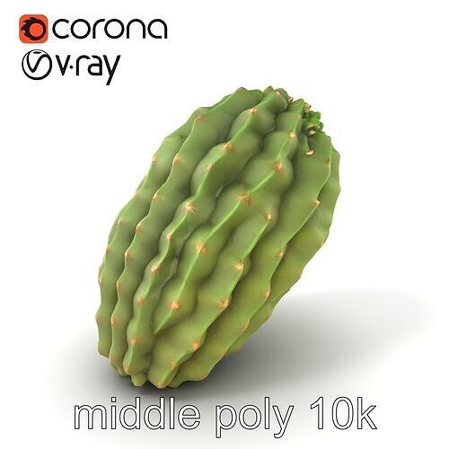Cactus Wrinkled Overlapping Segments model pack Low-poly 3D model