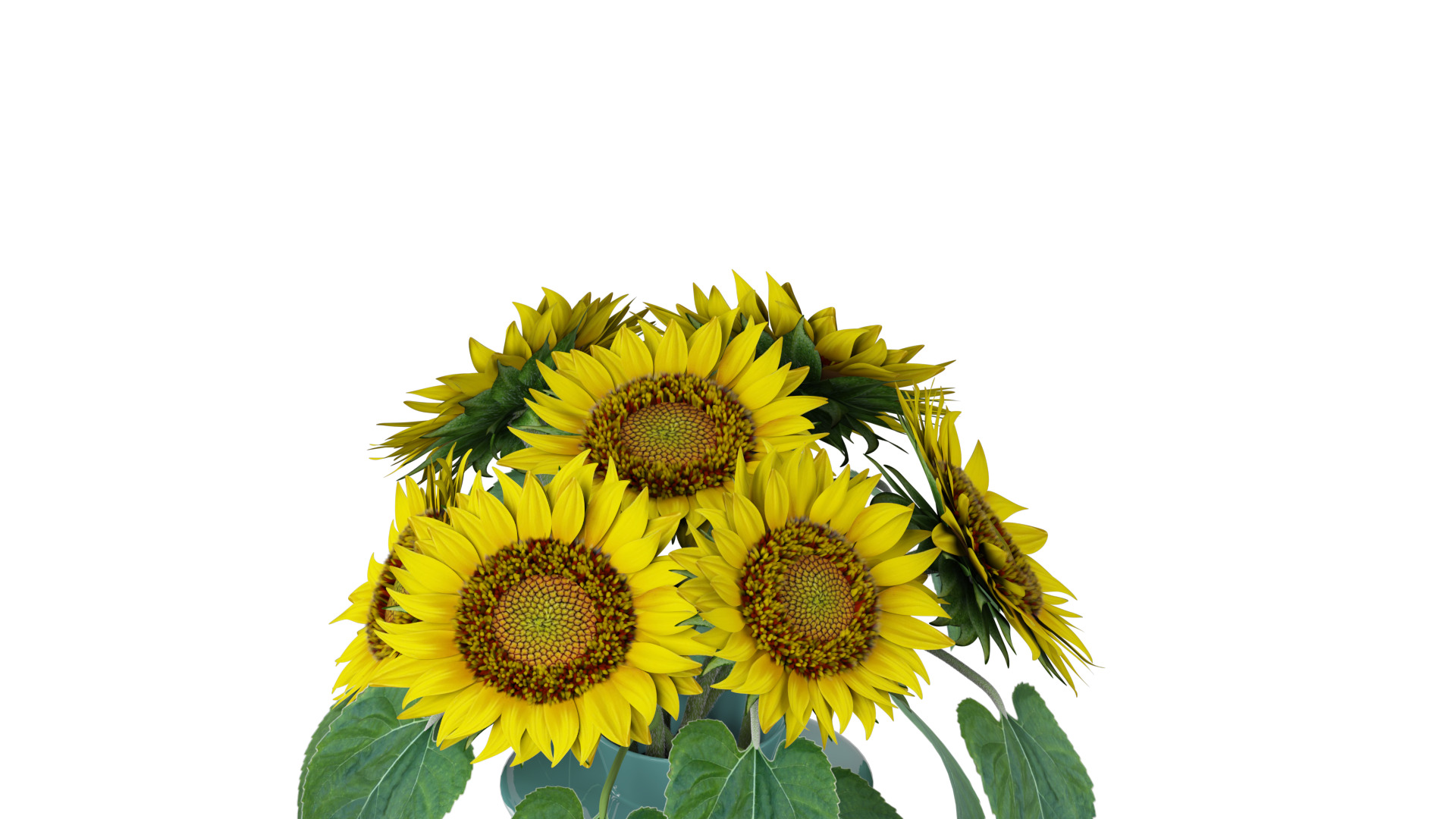 Sunflowers in a vase 3D model_5