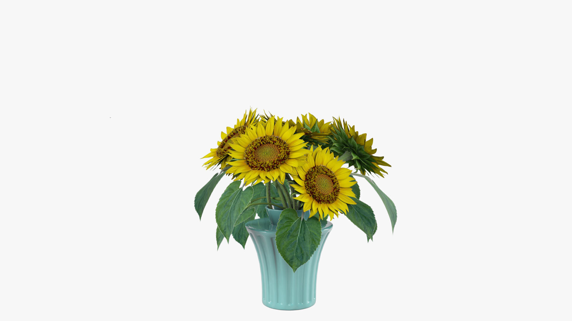 Sunflowers in a vase 3D model_6