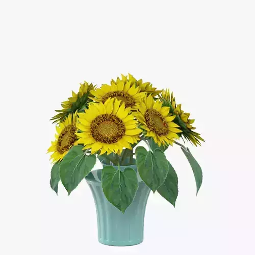 Sunflowers in a vase