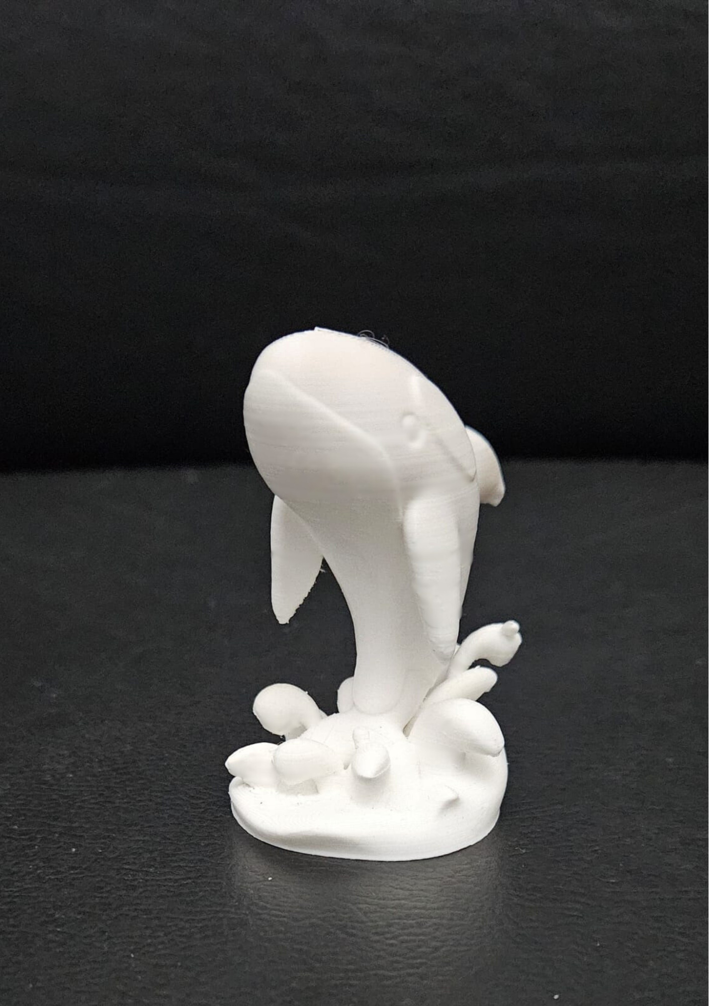 Orca Jumping 3D print model_6
