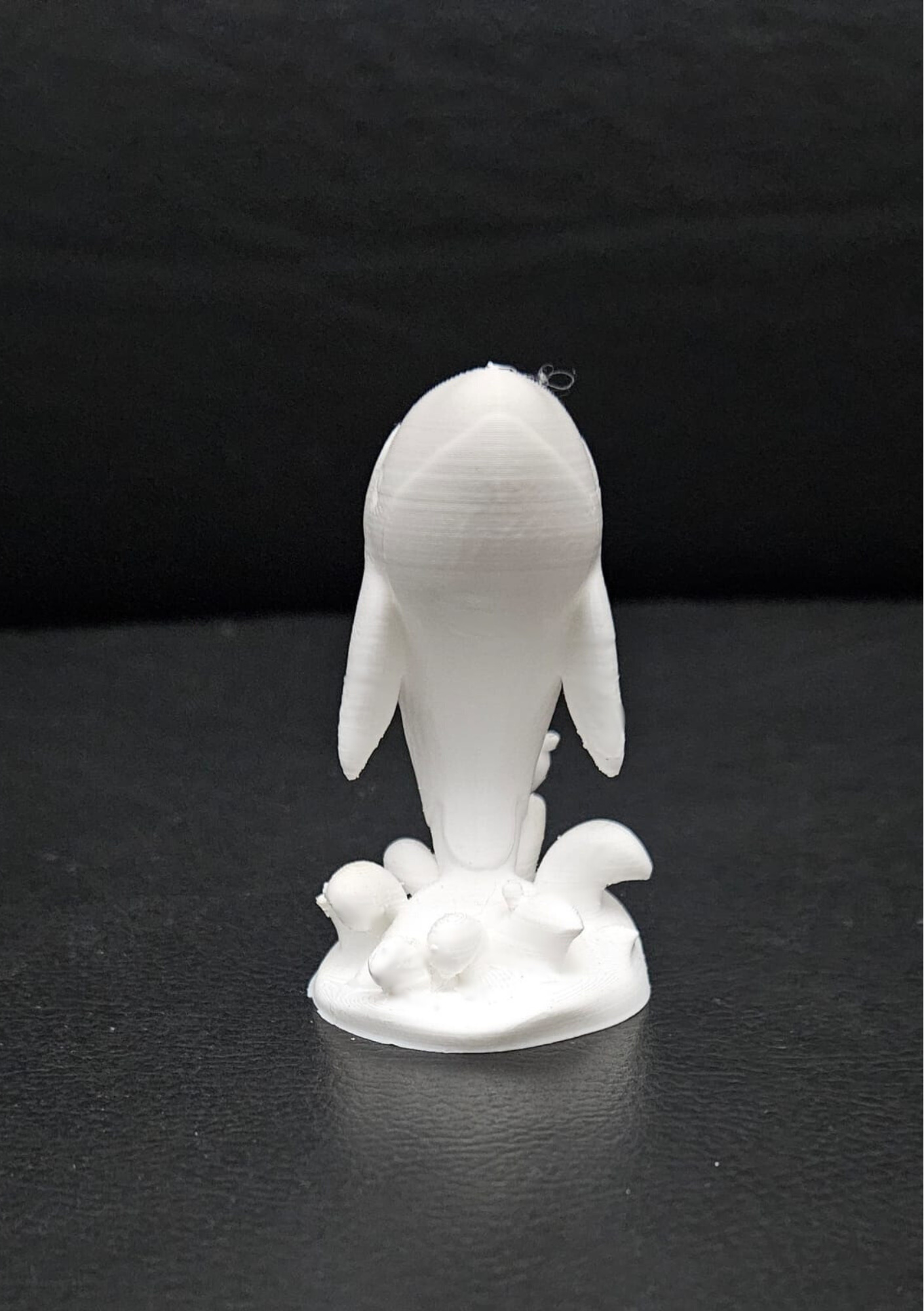 Orca Jumping 3D print model_11