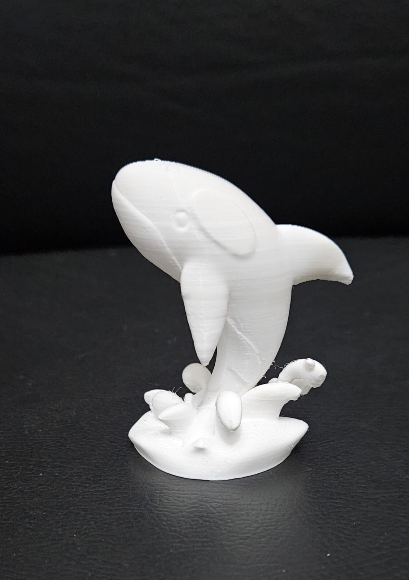 Orca Jumping 3D print model_7