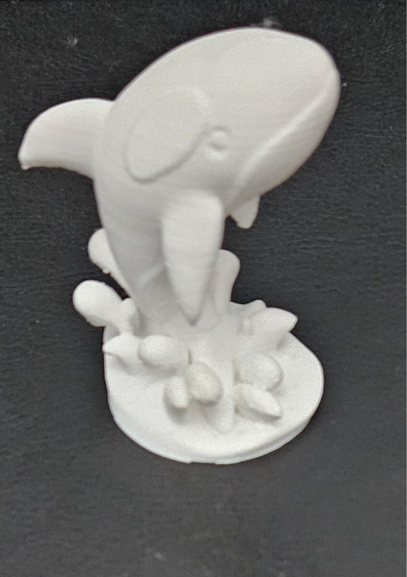 Orca Jumping 3D print model_9
