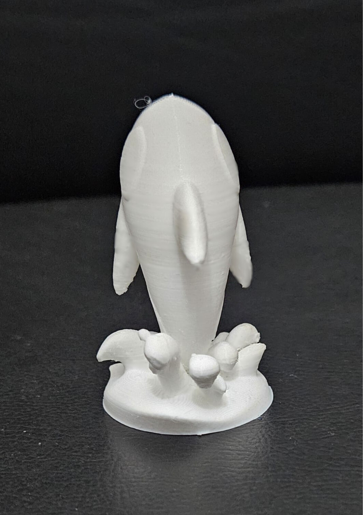Orca Jumping 3D print model_8