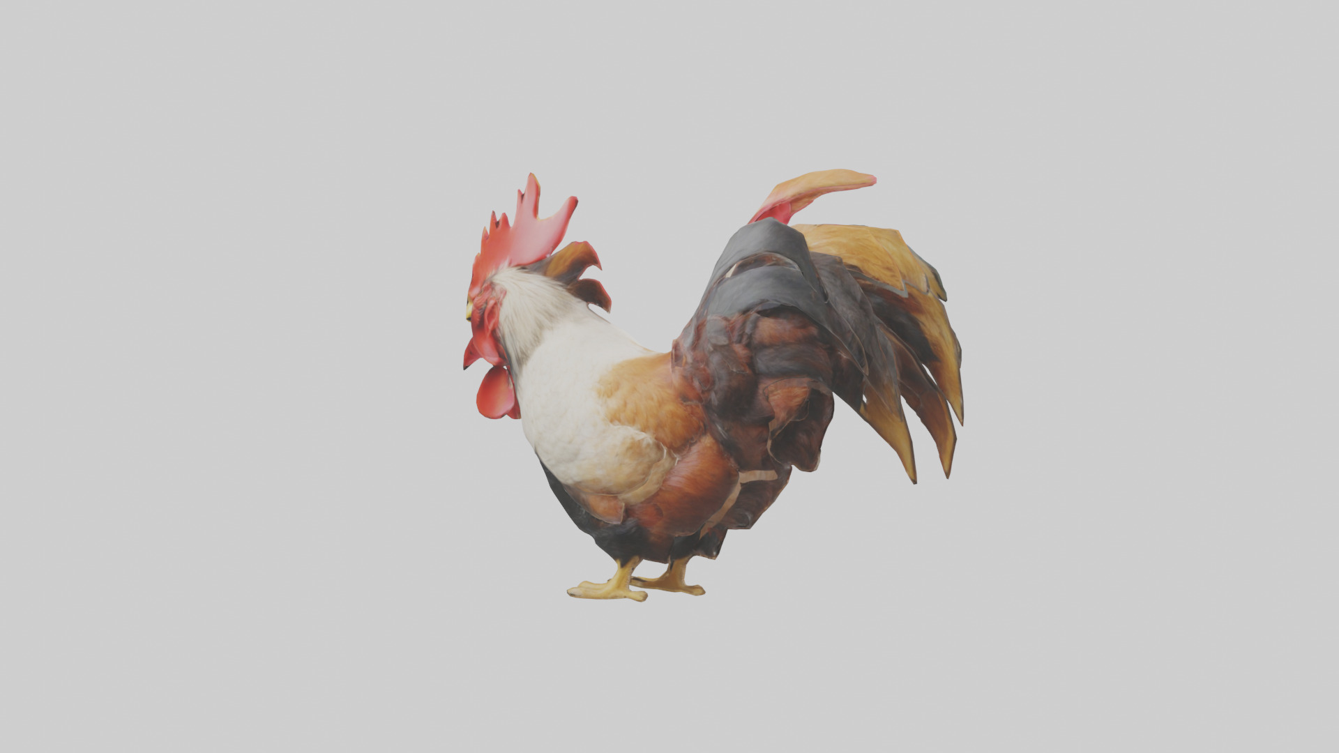 Rooster Comb Model Low-poly 3D model_2