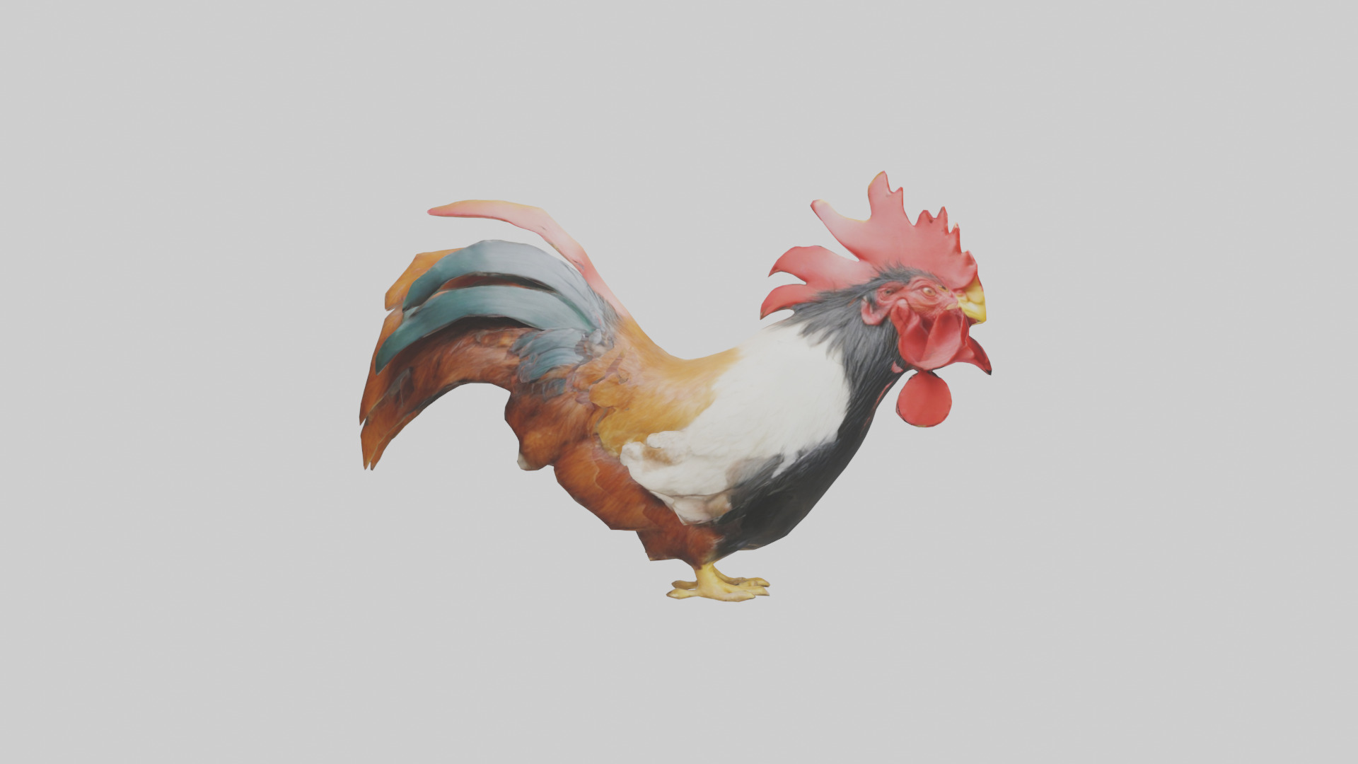 Rooster Comb Model Low-poly 3D model_13