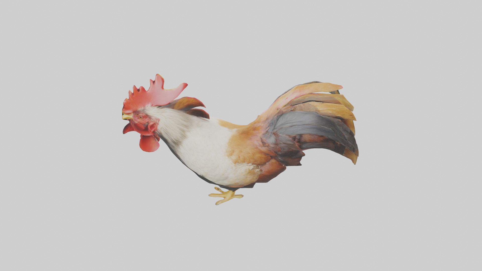 Rooster Comb Model Low-poly 3D model_17