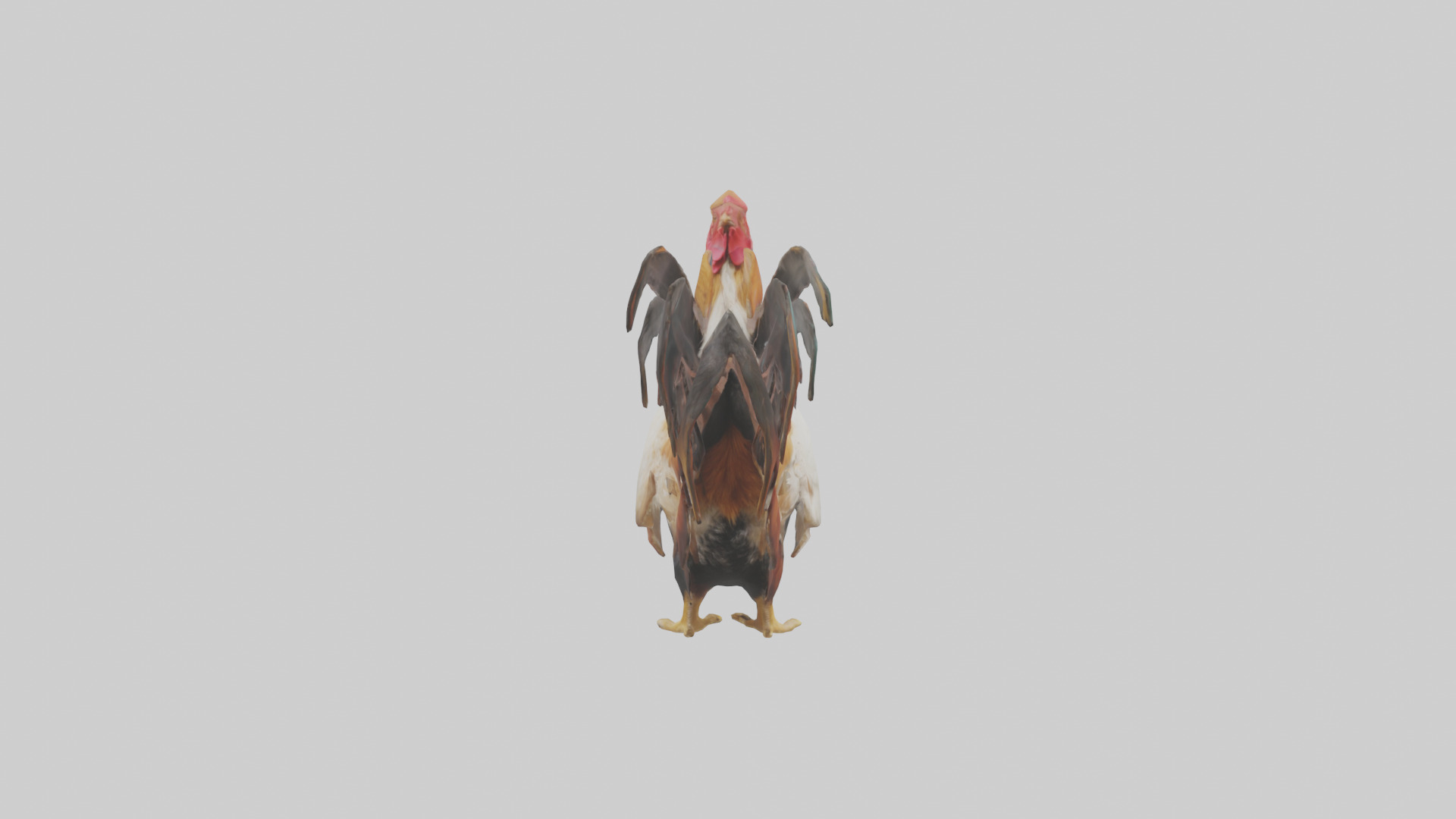 Rooster Comb Model Low-poly 3D model_1