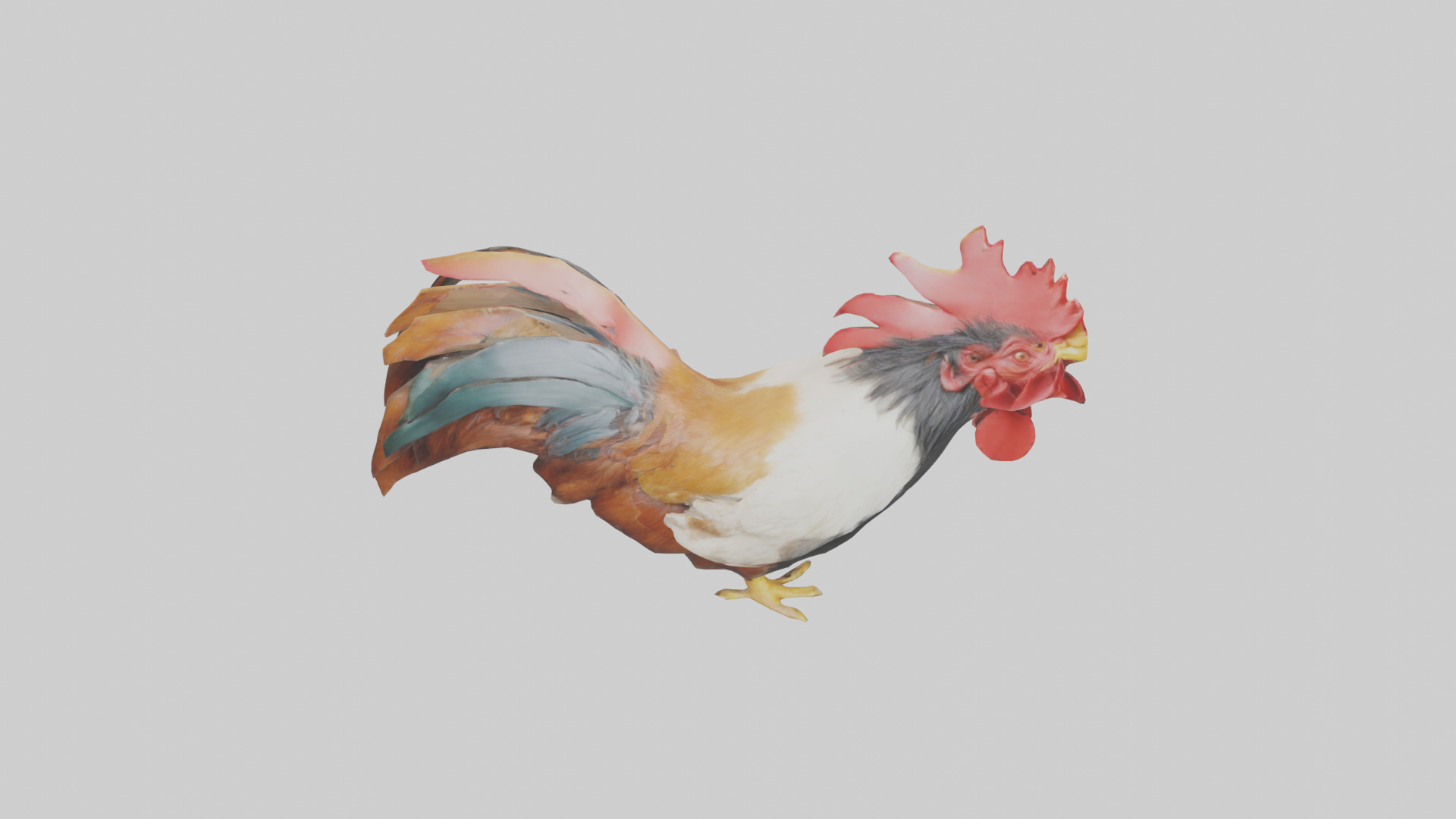 Rooster Comb Model Low-poly 3D model_18